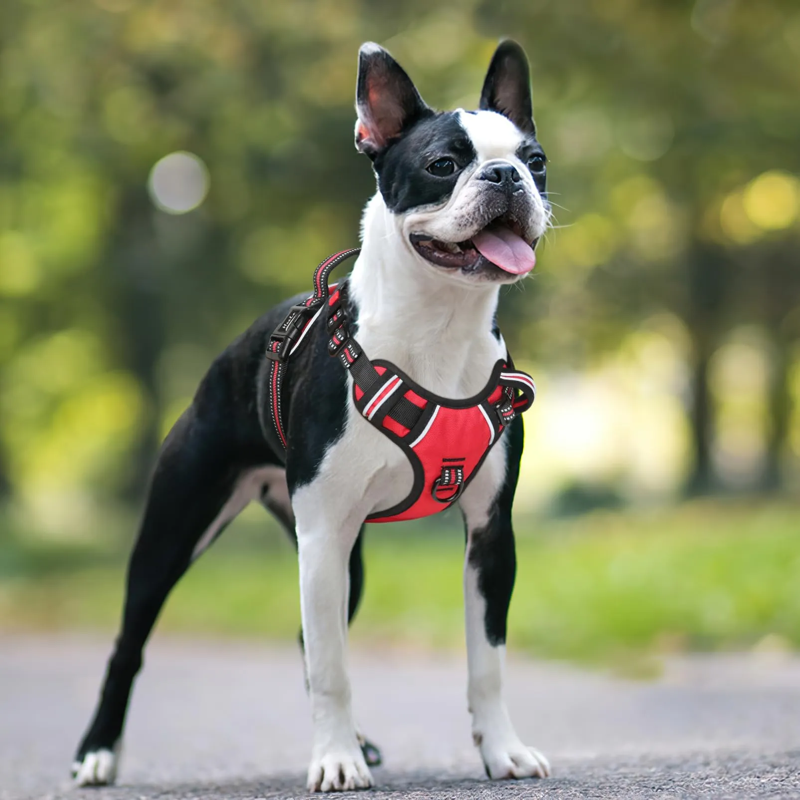 HEELE Pettorina Cane No-Pull Regolabile Riflettente, Rosso-Serratura, S - immagine 7