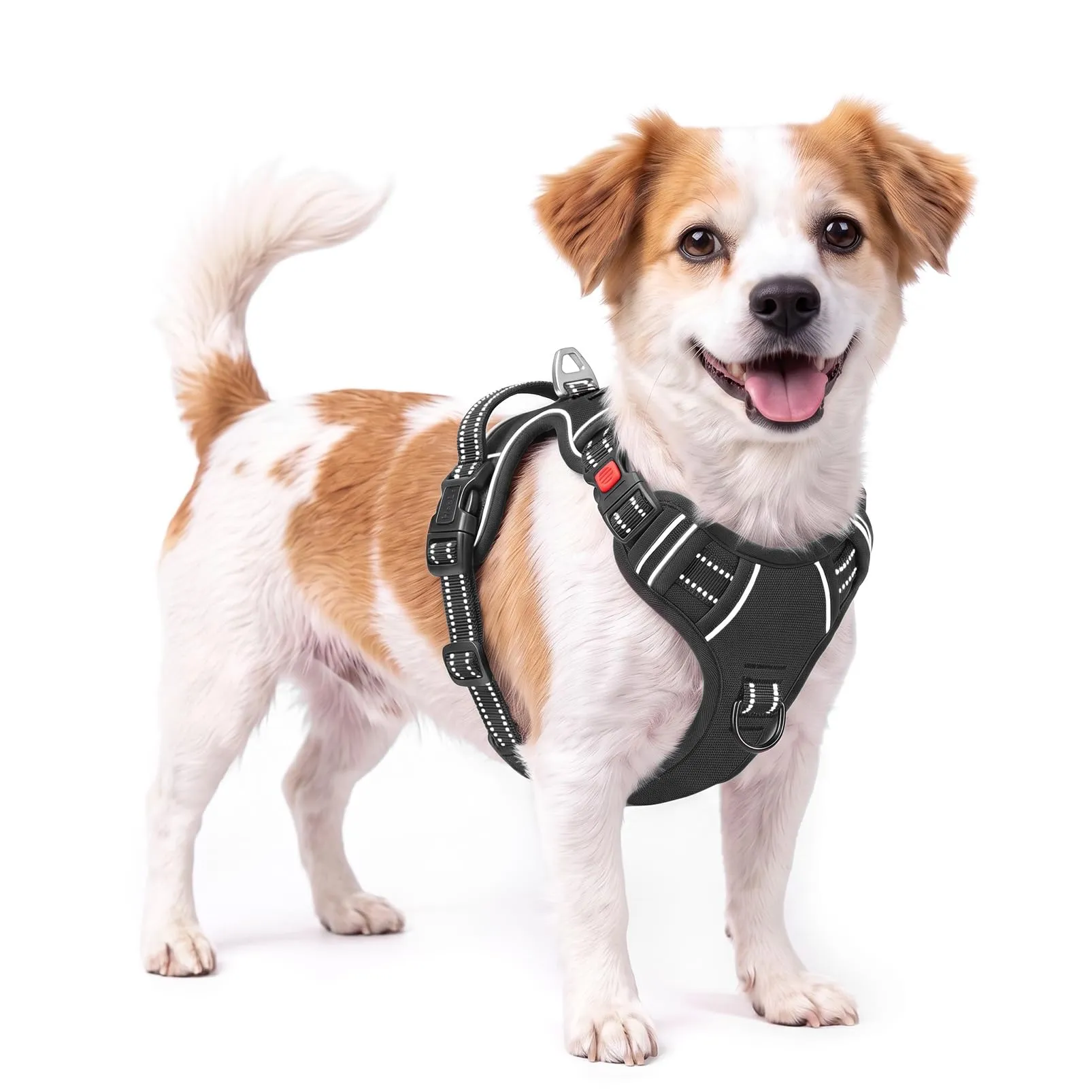 HEELE Pettorina Cane No-Pull Regolabile, Nero-Serratura, S - immagine 1