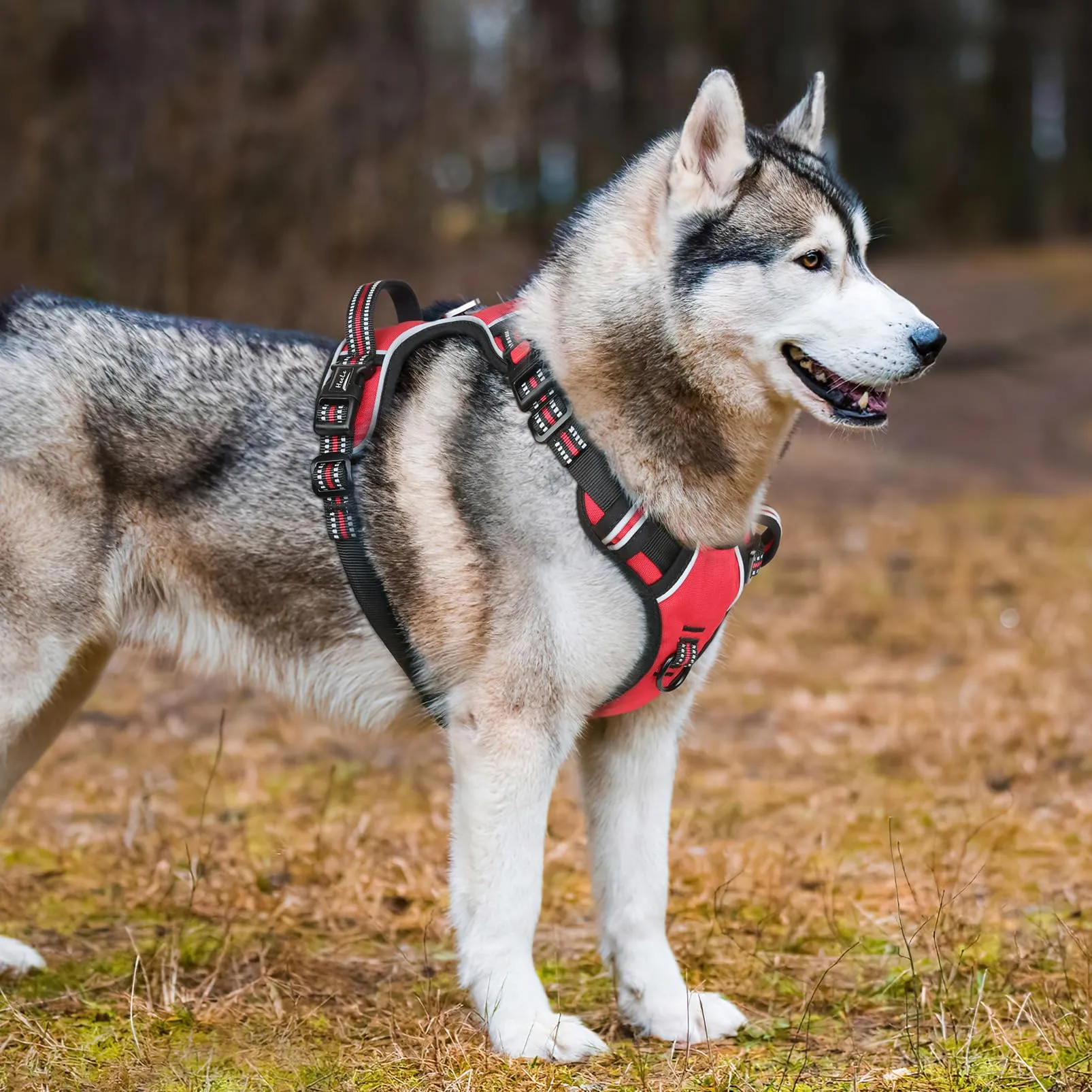 HEELE Pettorina Cane No-Pull Regolabile Riflettente, Rosso-Serratura, L - immagine 7