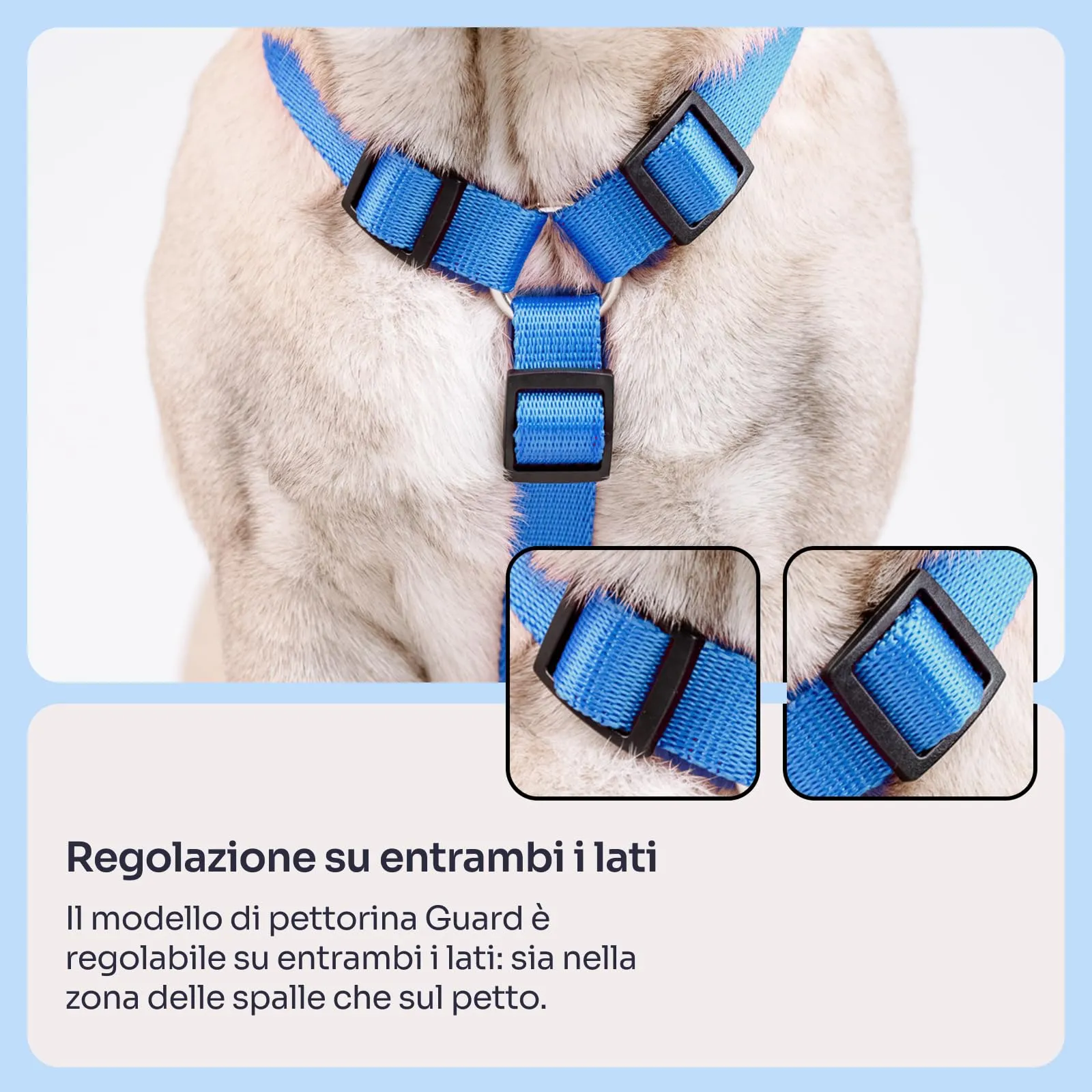 Chaba Guard Classic Pettorina per Cani Taglia Piccola, Blu - S - immagine 5