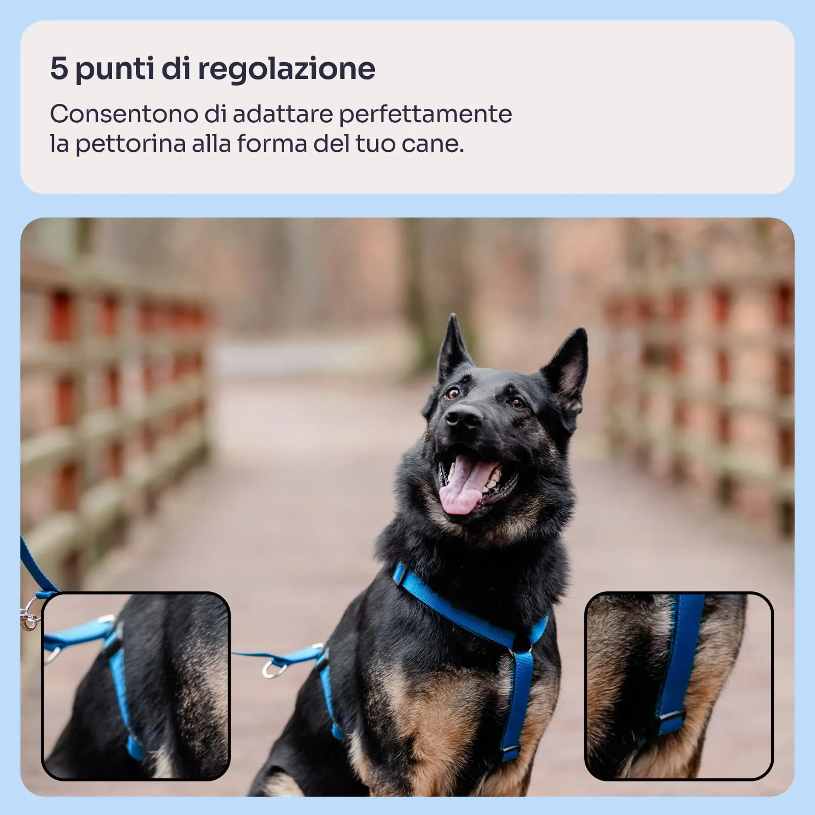 Chaba Guard Pettorina per cani, Classica step-in, Blu - L - immagine 3