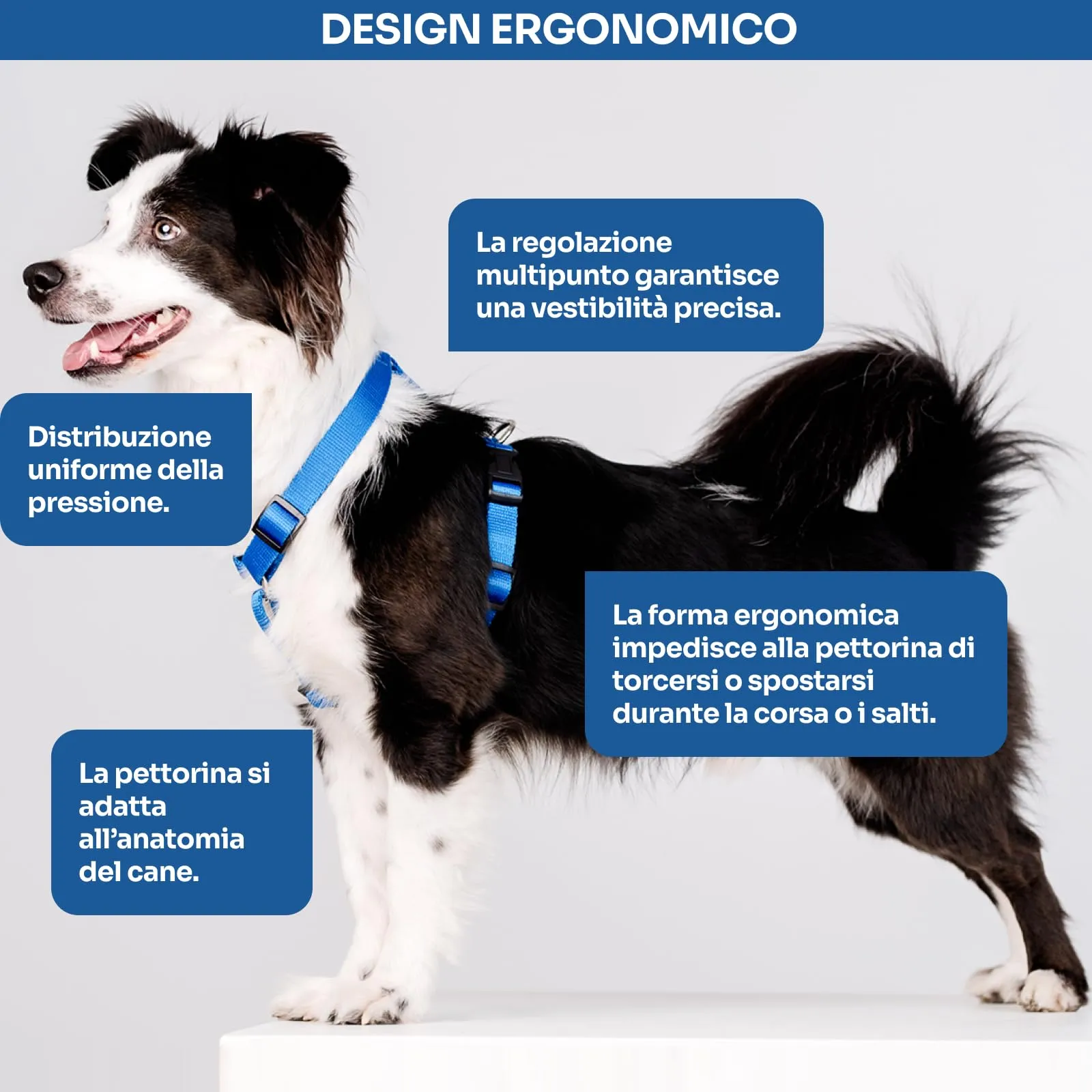 Chaba Guard Pettorina per cani, Classica step-in, Blu - L - immagine 4