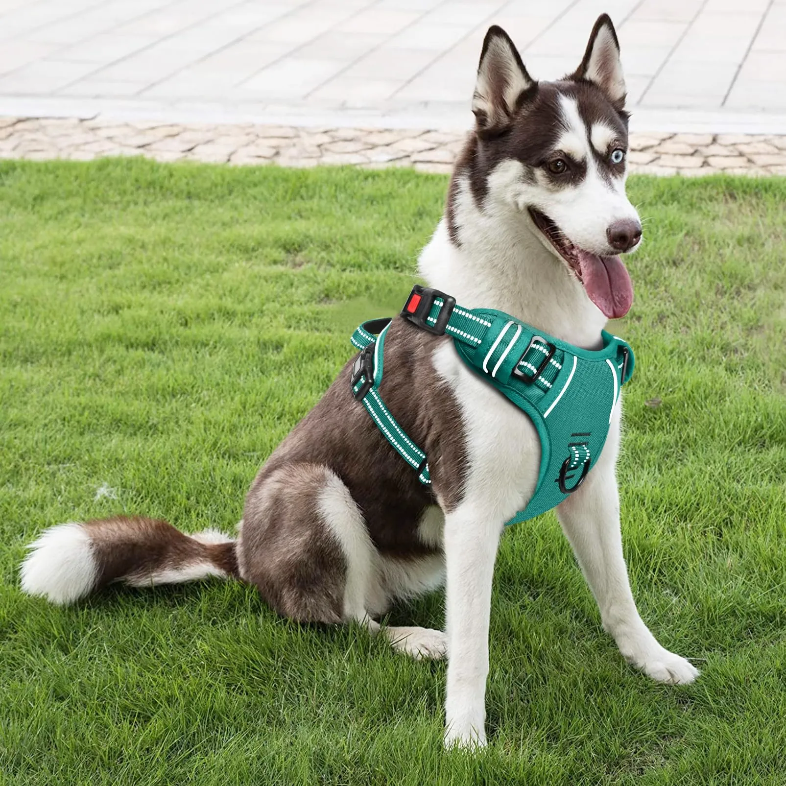 HEELE Pettorina per Cani da Corsa No-Pull, Regolabile e Riflettente, Verde Erba, XL - immagine 5