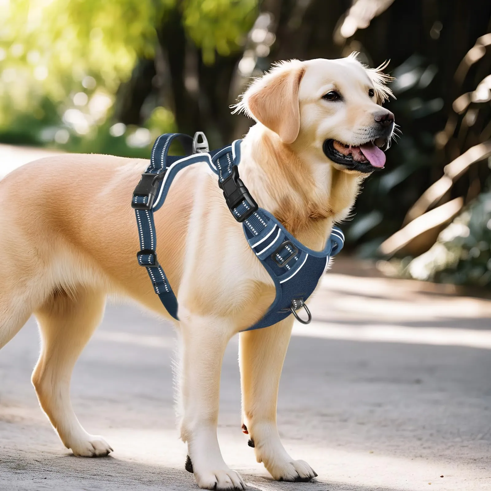 HEELE Pettorina Cane Anti-tiro Riflettente e Regolabile, Imbracatura con Sgancio Rapido dal Collo e Maniglia, Blu Reale XL - immagine 5