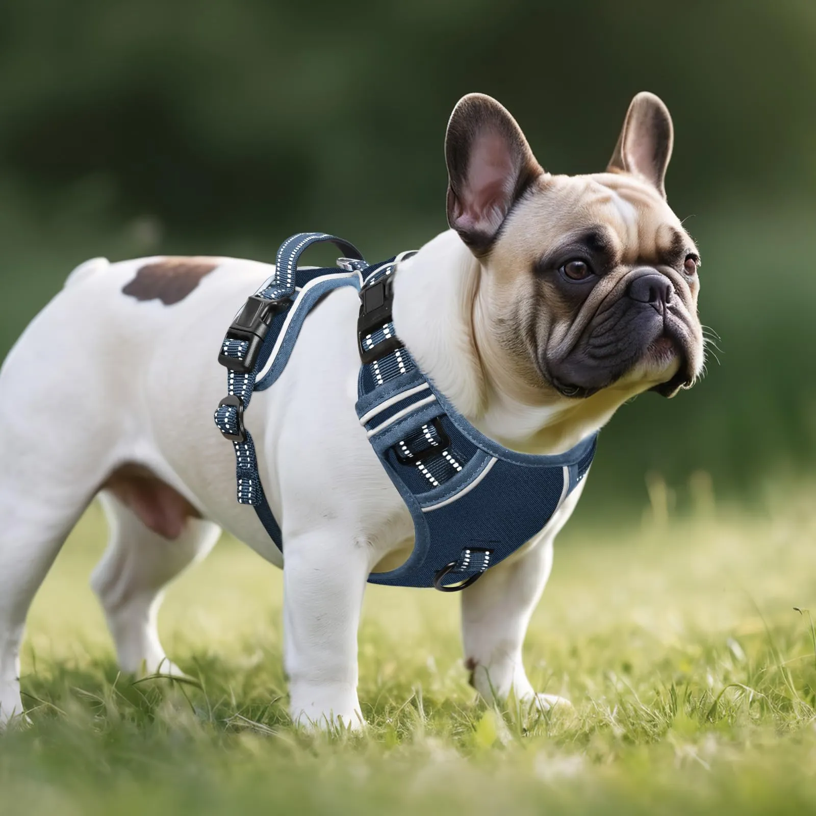 HEELE Pettorina Cane Anti-tiro Riflettente e Regolabile con Maniglia, Blu Reale, S - immagine 6