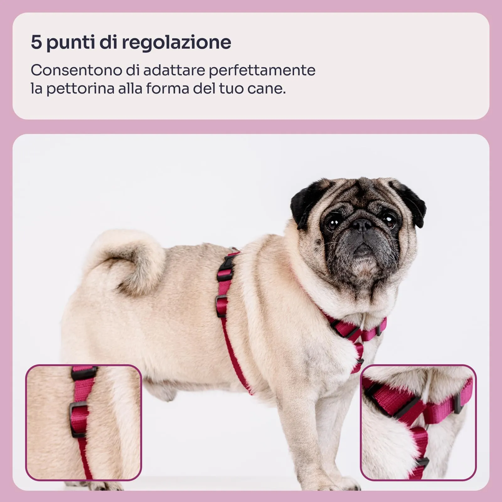 Chaba Guard Imbracatura per Piccolo Cane, Anti-tiro, Regolabile in 5 Punti, Taglia S - immagine 3