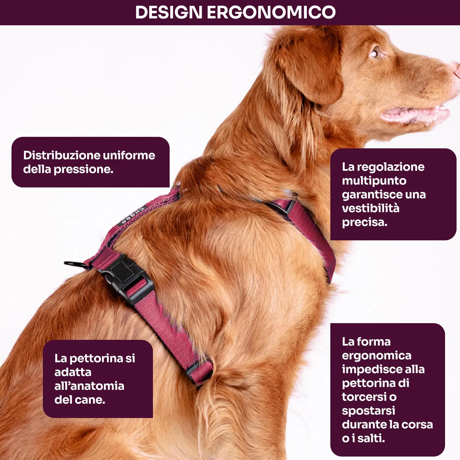 Chaba Guard Imbracatura per Piccolo Cane, Anti-tiro, Regolabile in 5 Punti, Taglia S - immagine 4