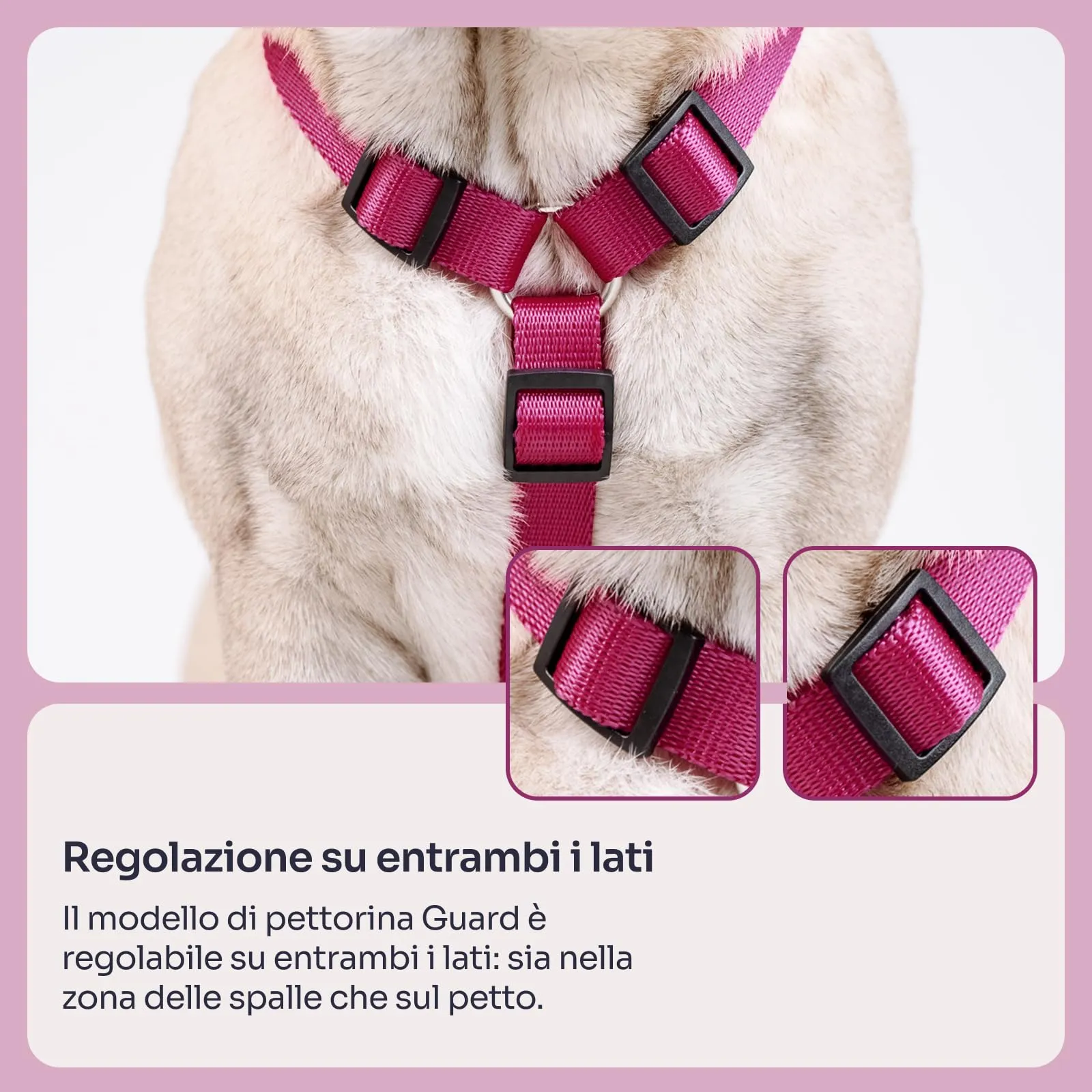 Chaba Guard Imbracatura per Piccolo Cane, Anti-tiro, Regolabile in 5 Punti, Taglia S - immagine 5