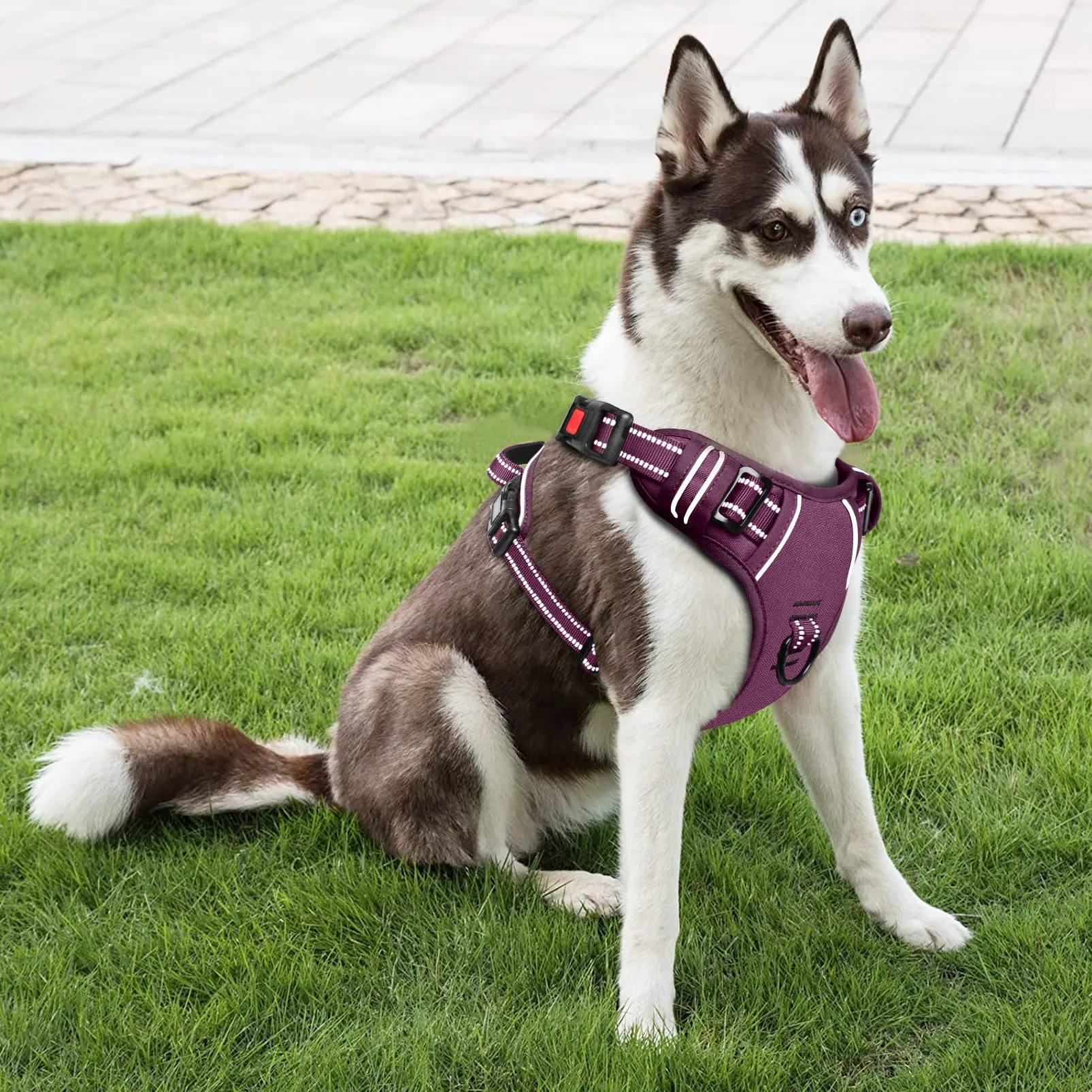 HEELE Pettorina per Cani da Corsa No-Pull, Regolabile e Riflettente, Viola, XL - immagine 5