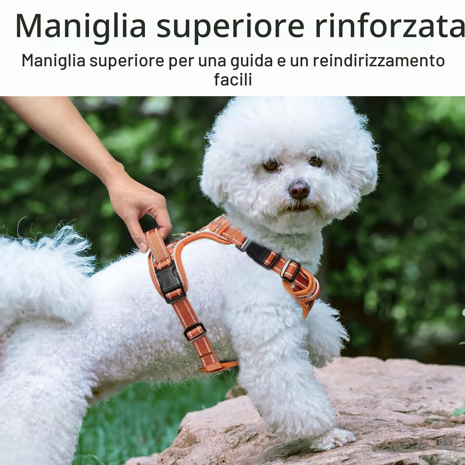 HEELE Pettorina Cane Anti-tiro Riflettente e Regolabile con Maniglia, Floral-Arancione S - immagine 6