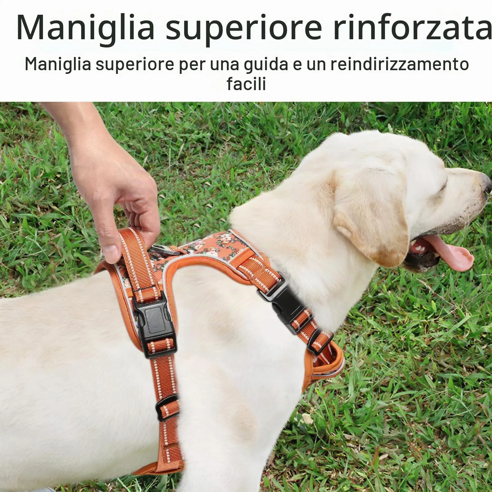 HEELE Imbracatura per Cani Anti-tiro Riflettente e Regolabile, Sgancio Rapido dal Collo, Imbottita con Maniglia, Floreale-Arancione L - immagine 6