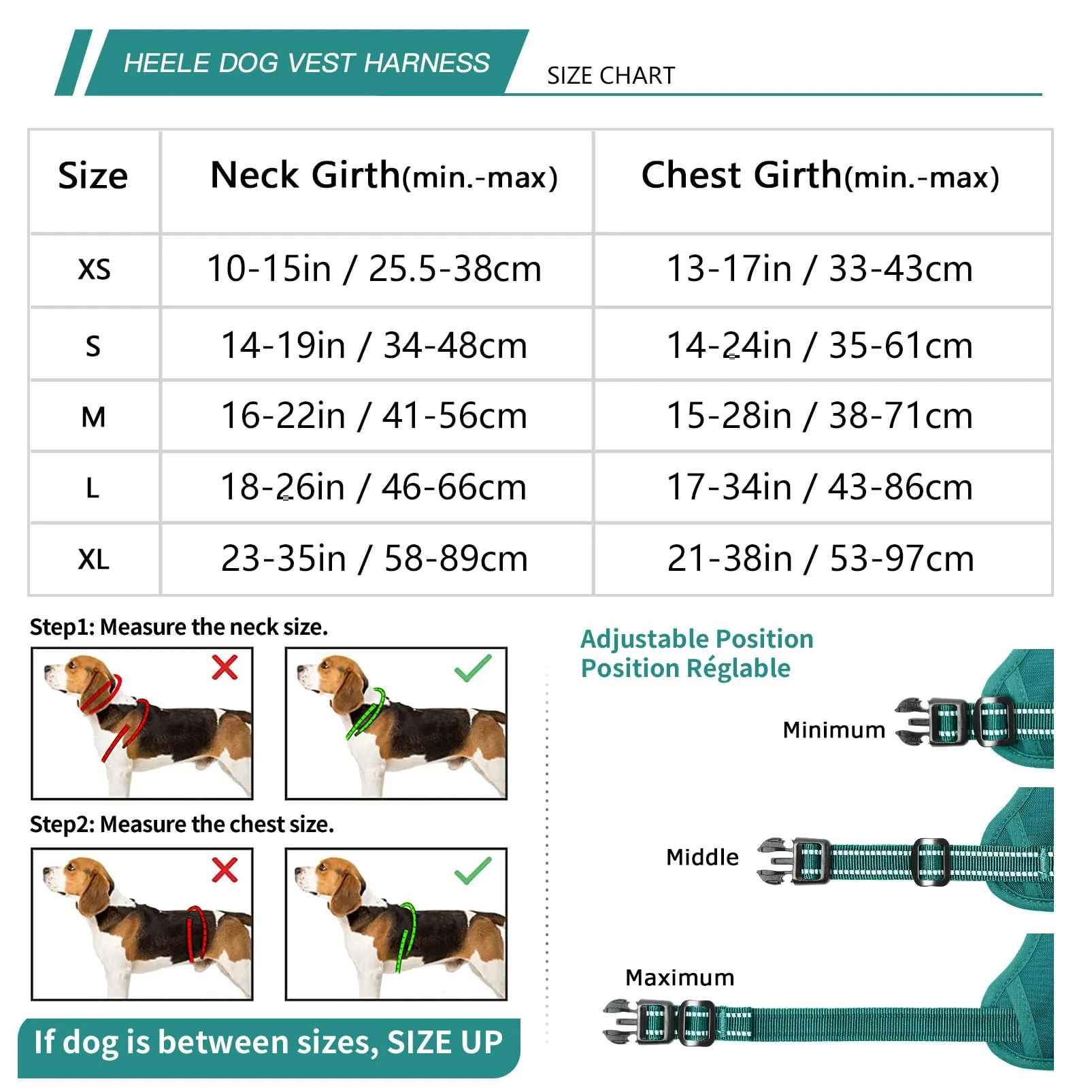 HEELE Pettorina per Cani No-Pull Riflettente e Regolabile, Verde Erba, M - immagine 2