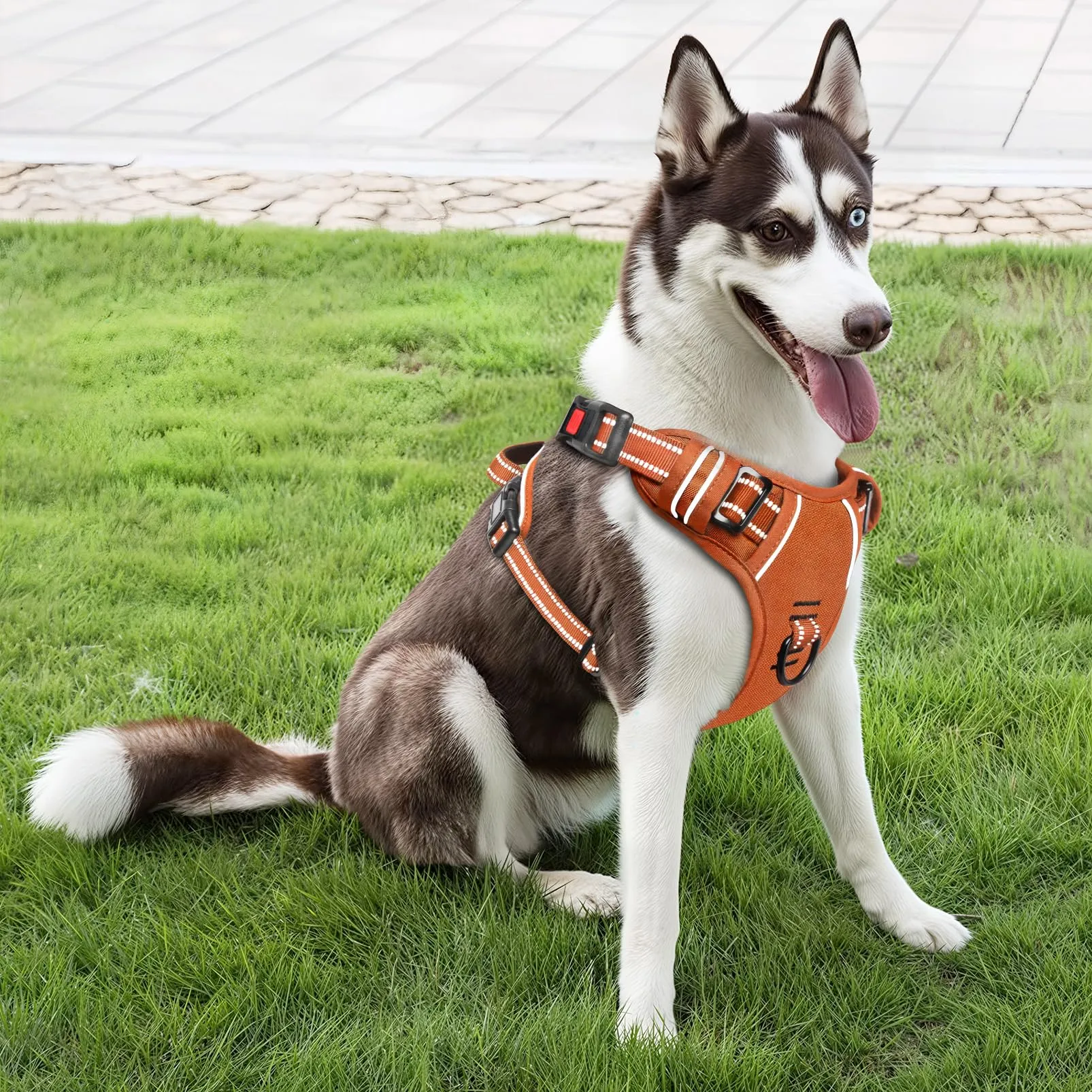 HEELE Pettorina per Cani da Corsa No-Pull, Regolabile e Riflettente, Zucca Arancione, L - immagine 5
