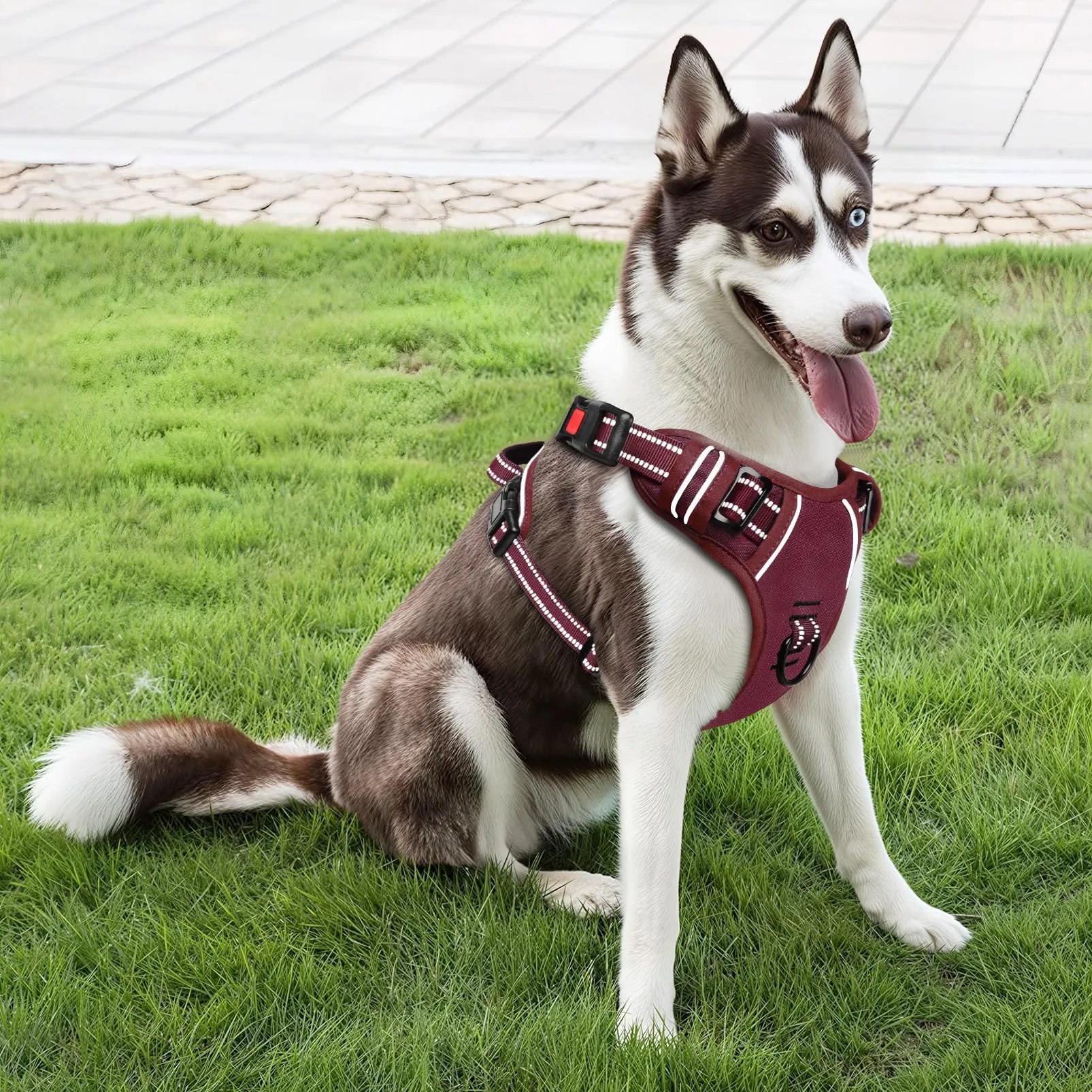 HEELE Pettorina per Cani da Corsa, Regolabile, Riflettente, No-Pull, Rosso Borgogna, S - immagine 6
