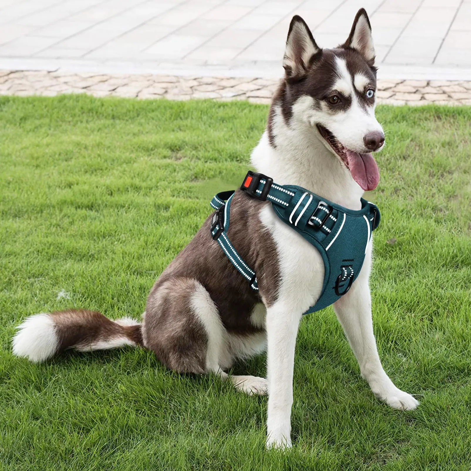 HEELE Pettorina per Cani da Corsa, Regolabile, Riflettente, No-Pull, Verde Scuro, XL - immagine 5