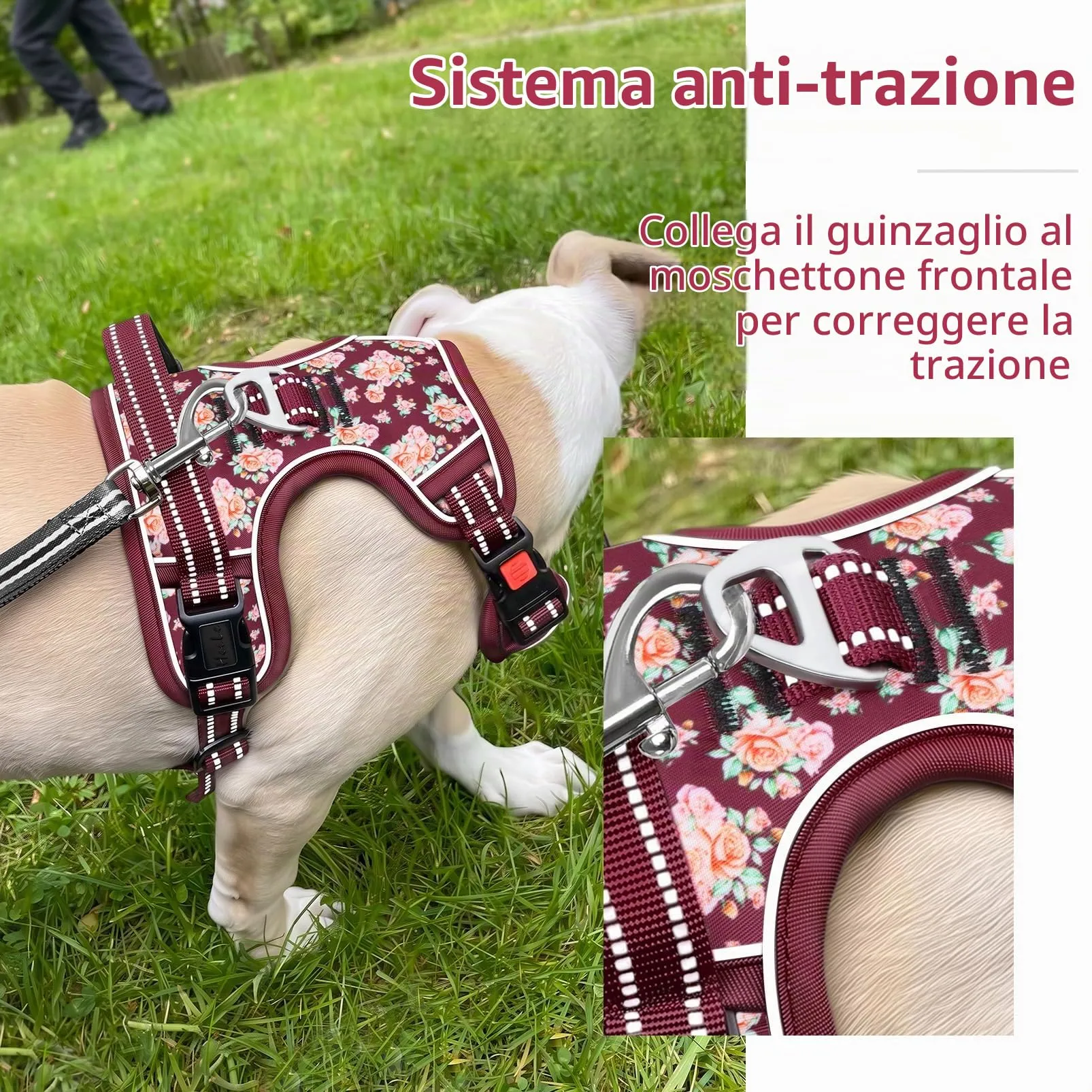 HEELE Pettorina Cane Aperta Sul Collo, Floreale Rosso Borgogna, M - immagine 6