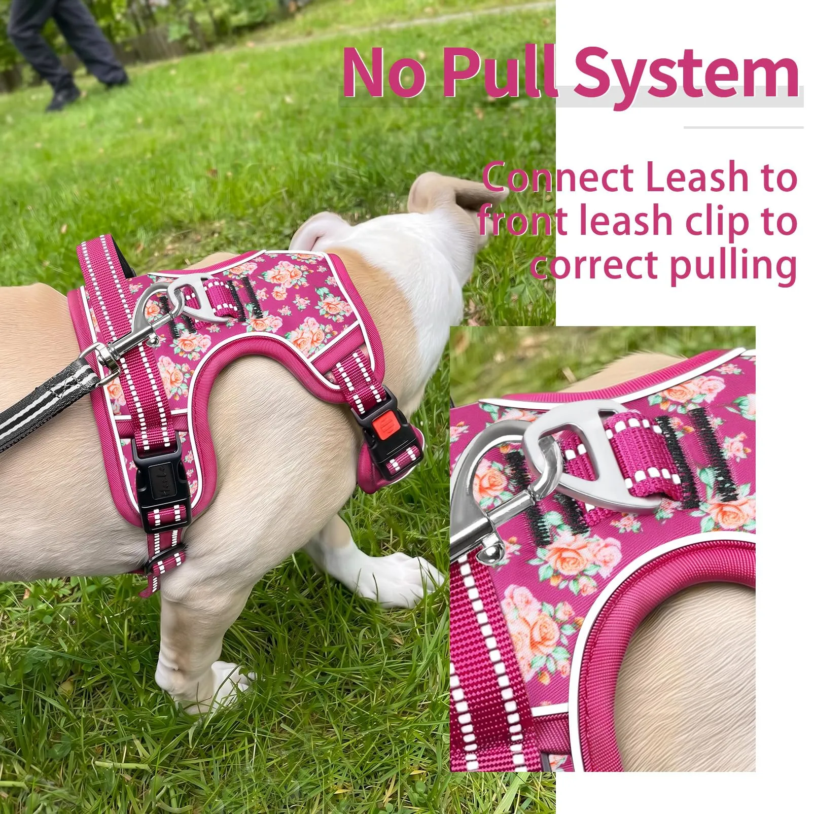 HEELE Pettorina Cane Aperta Sul Collo, Floreale Rosso Rosa, XL - immagine 6