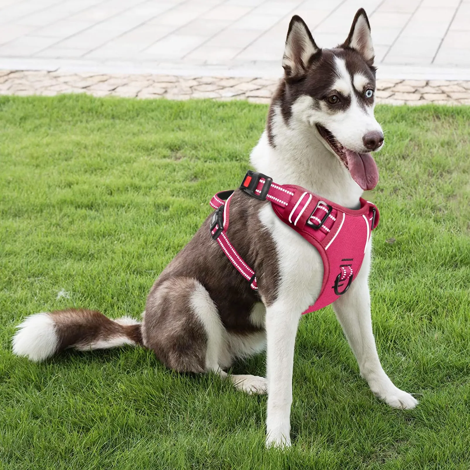 HEELE Pettorina per Cani da Corsa, Regolabile, Riflettente, No-Pull, Fucsia, L - immagine 5