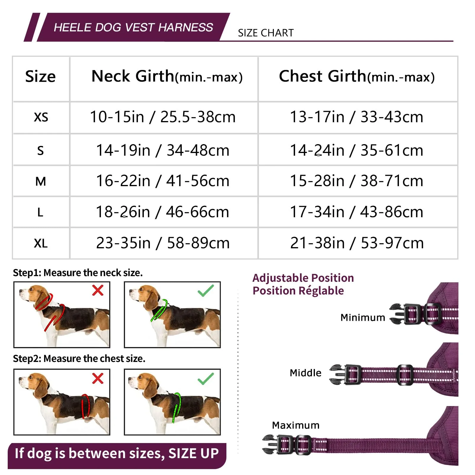 HEELE Pettorina per Cani da Corsa Regolabile Riflettente No-Pull, Viola, S - immagine 4