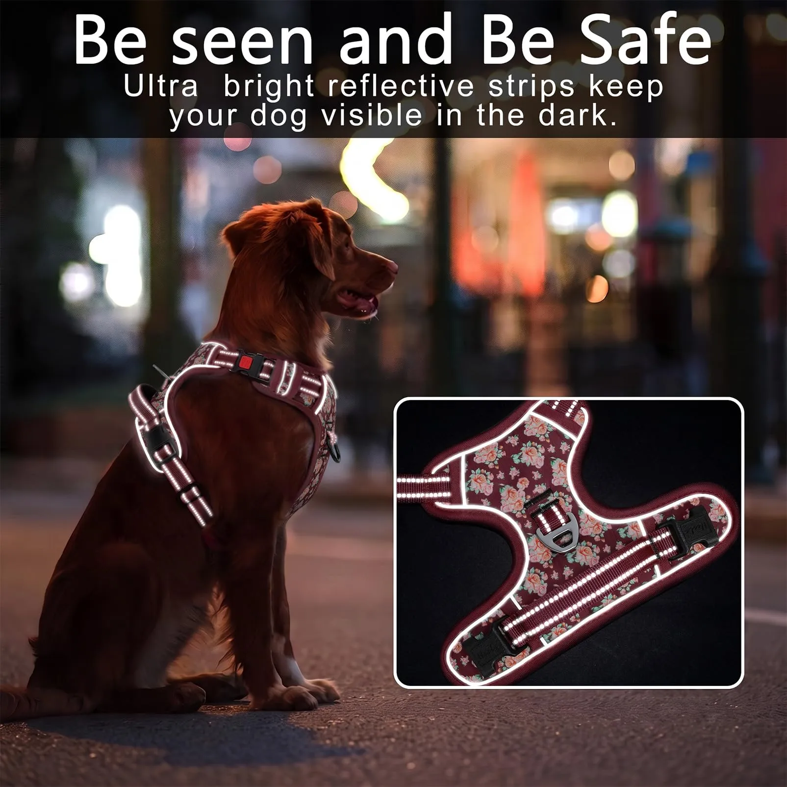 HEELE Pettorina Cane Aperta Sul Collo, Floreale Rosso Borgogna, XL - immagine 4