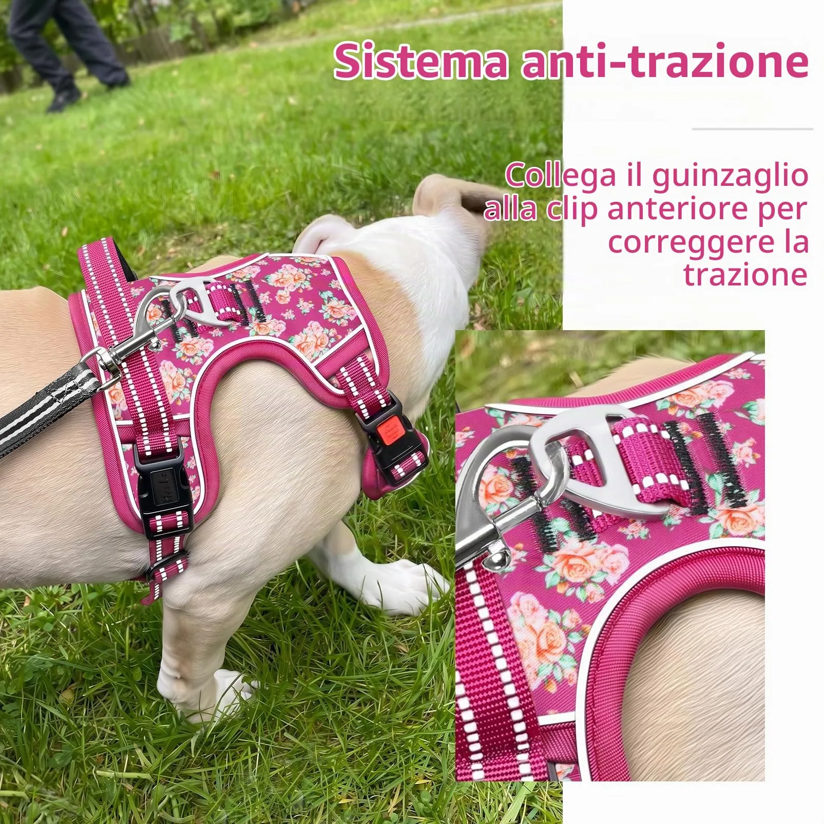 HEELE Pettorina Cane Aperta Sul Collo, Floreale Rosso Rosa, M - immagine 5