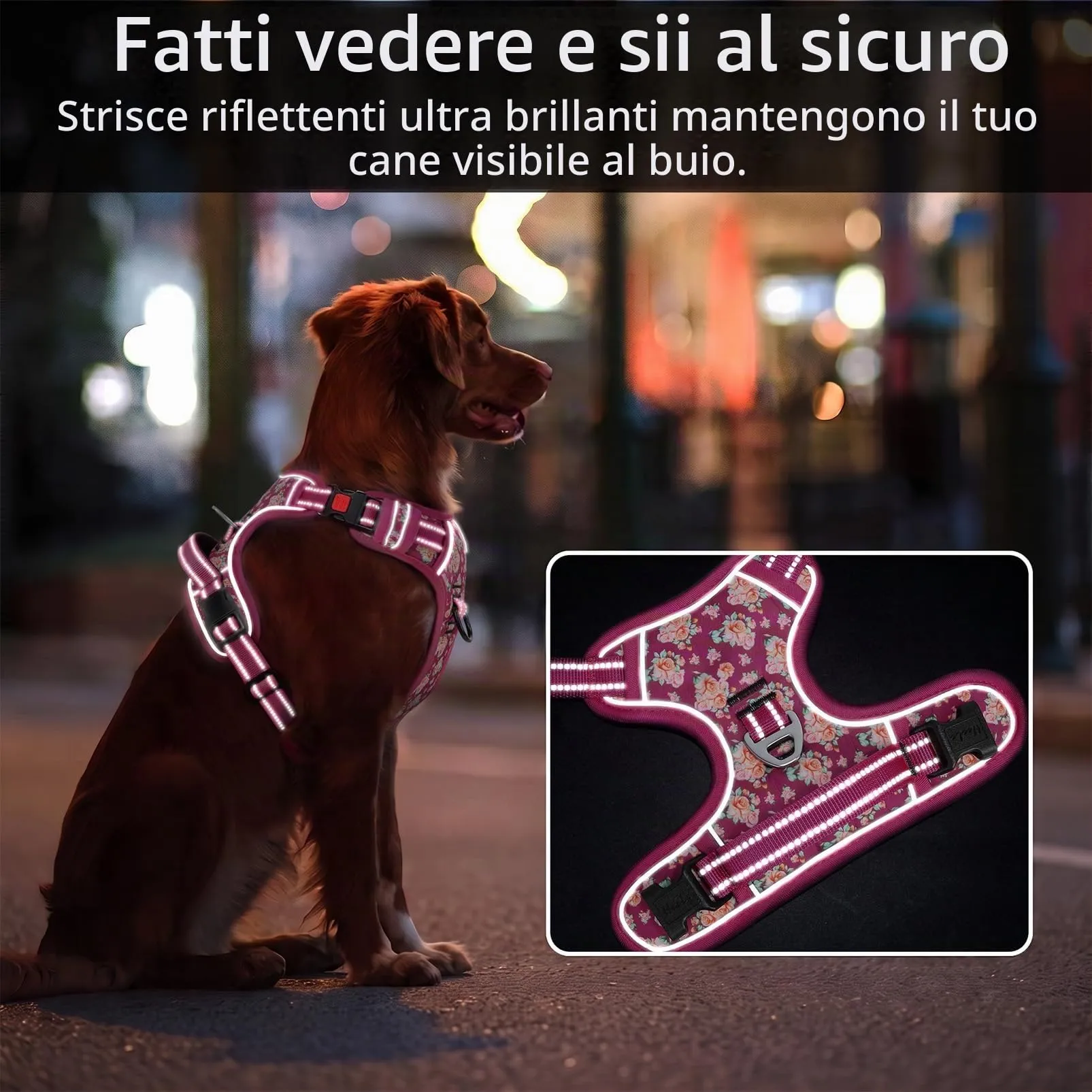 HEELE Pettorina Cane Aperta Sul Collo, Floreale Rosso Rosa, M - immagine 6