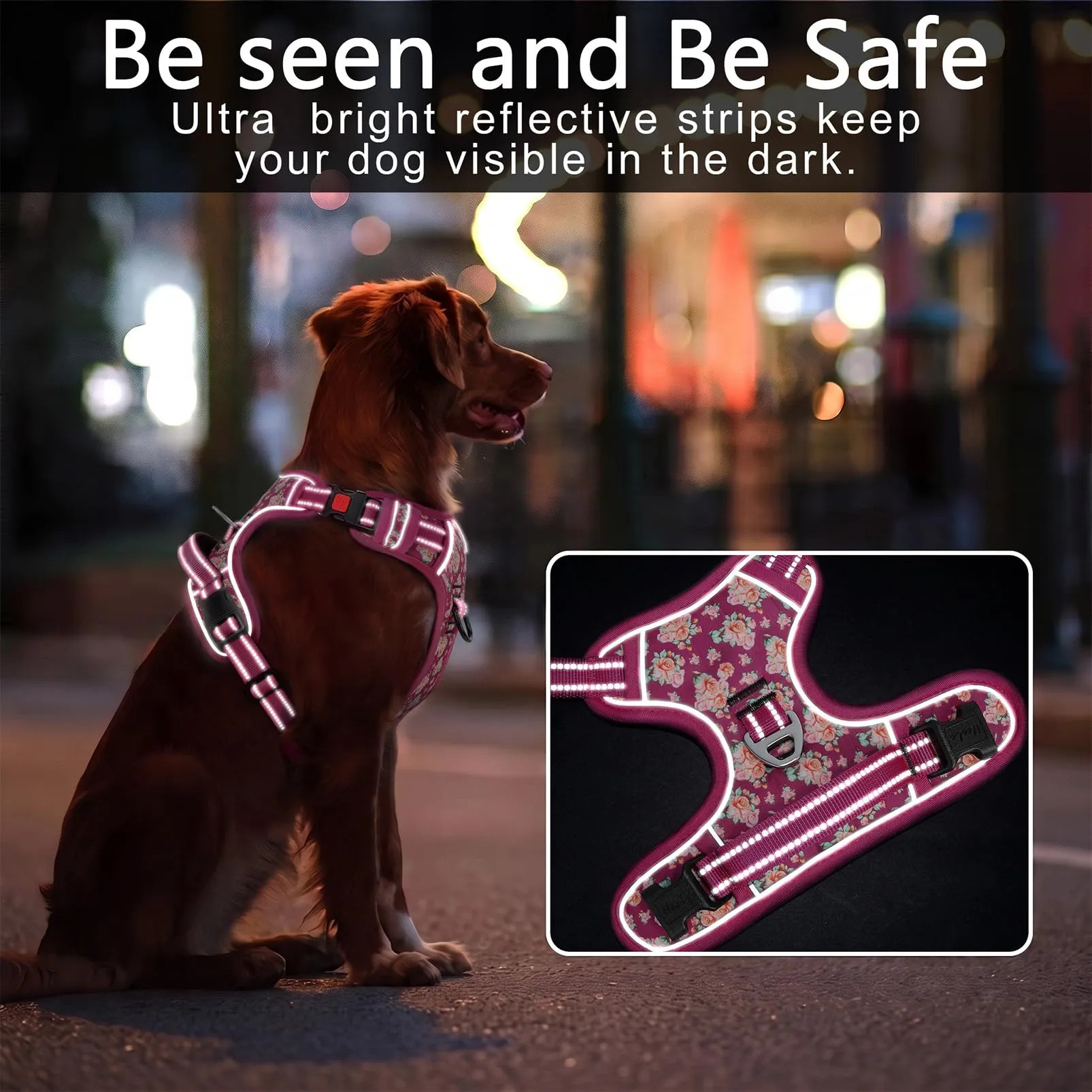 HEELE Pettorina Cane Aperta Sul Collo, Floreale Rosso Rosa, L - immagine 5