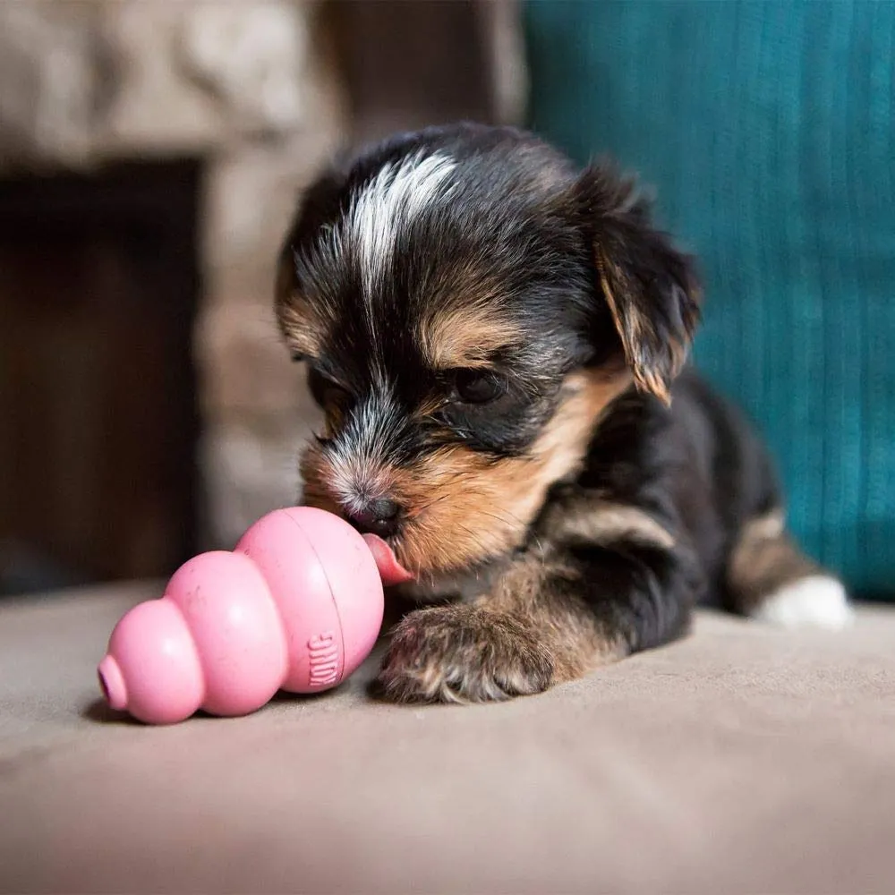 KONG Puppy X-Small - immagine 3