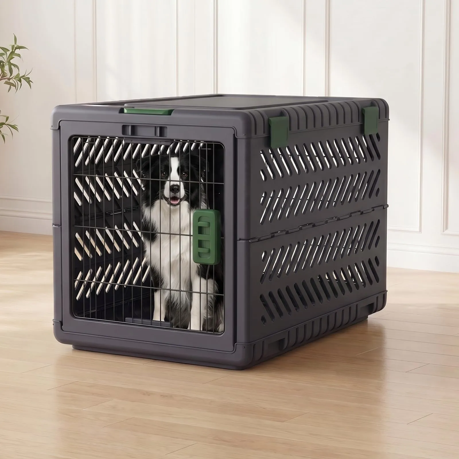 Gardner Pet Trasportino Pieghevole per Cani Extra Large, 92x58x65cm, Verde - immagine 8