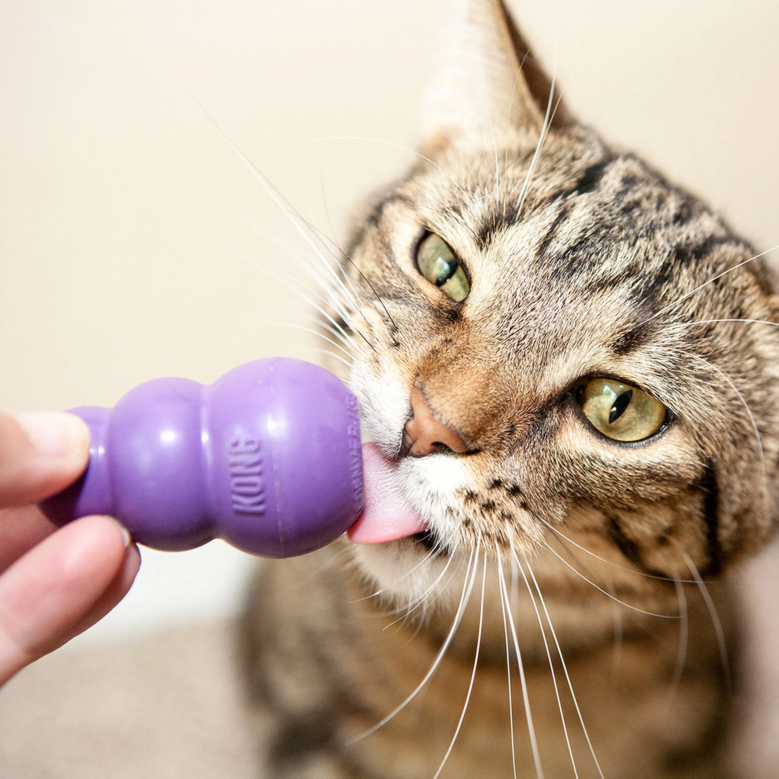 KONG Kitty Treat Dispenser Cat Toy - immagine 2