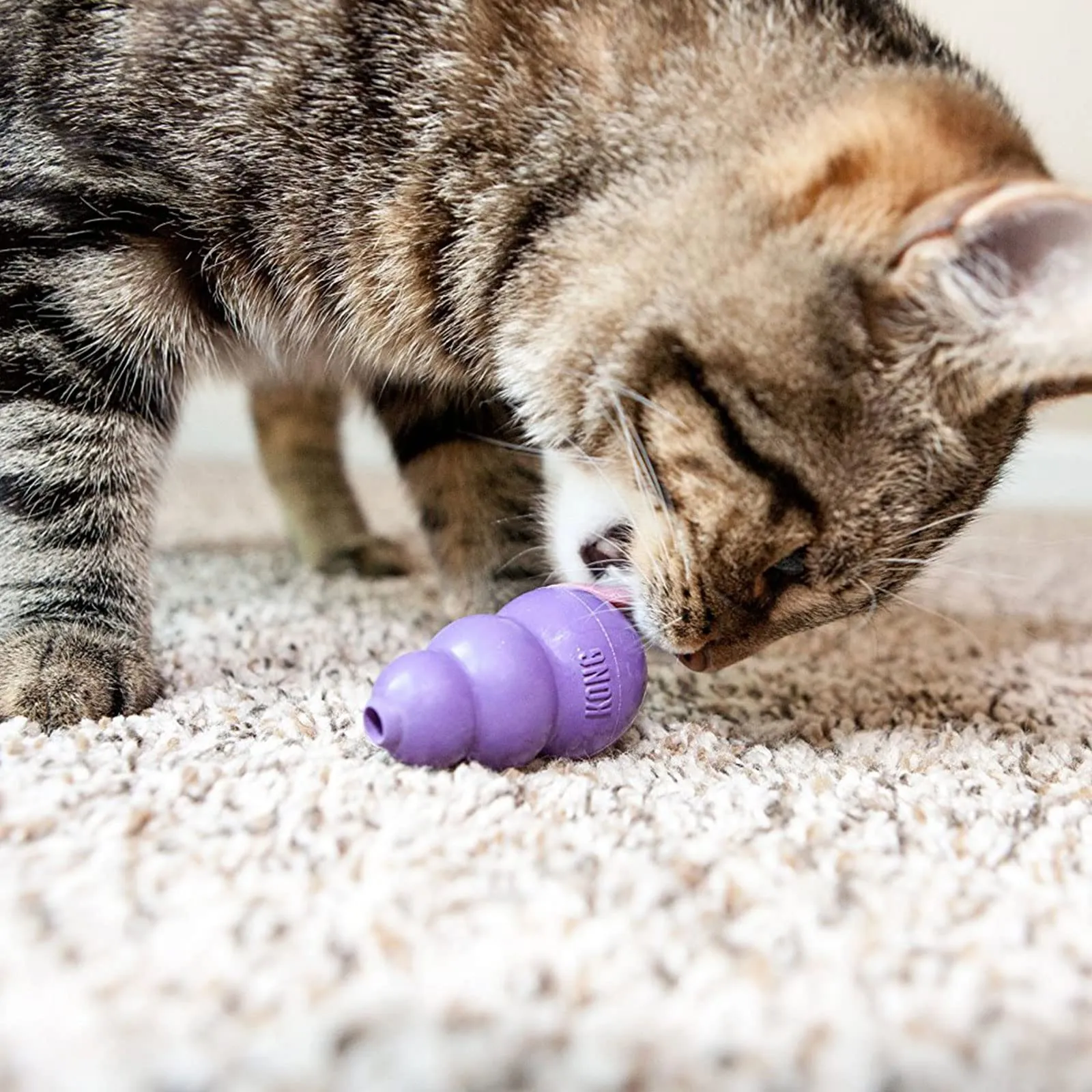 KONG Kitty Treat Dispenser Cat Toy - immagine 5