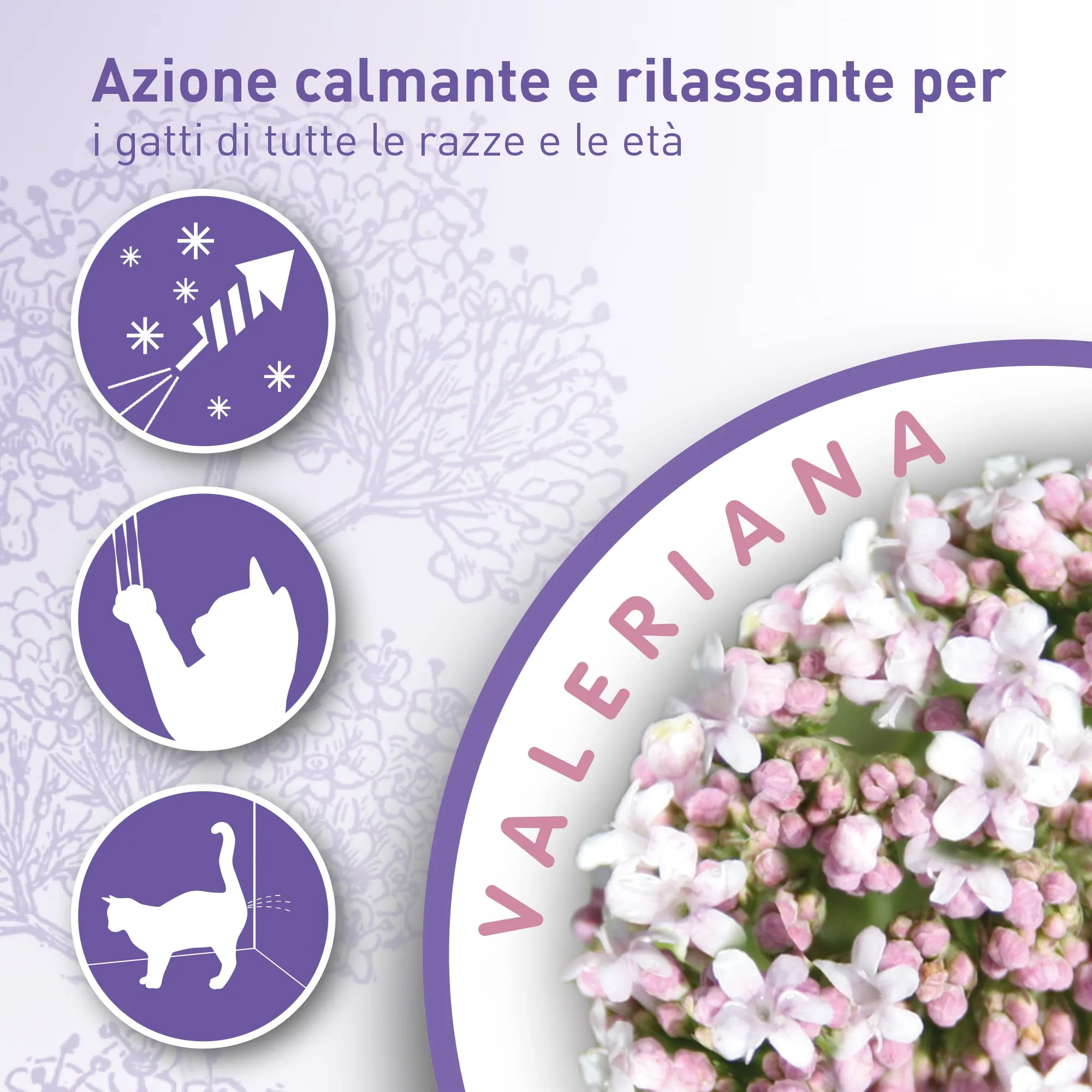 Beaphar No Stress Collare Calmante alla Valeriana per Gatti, 35 cm - immagine 2