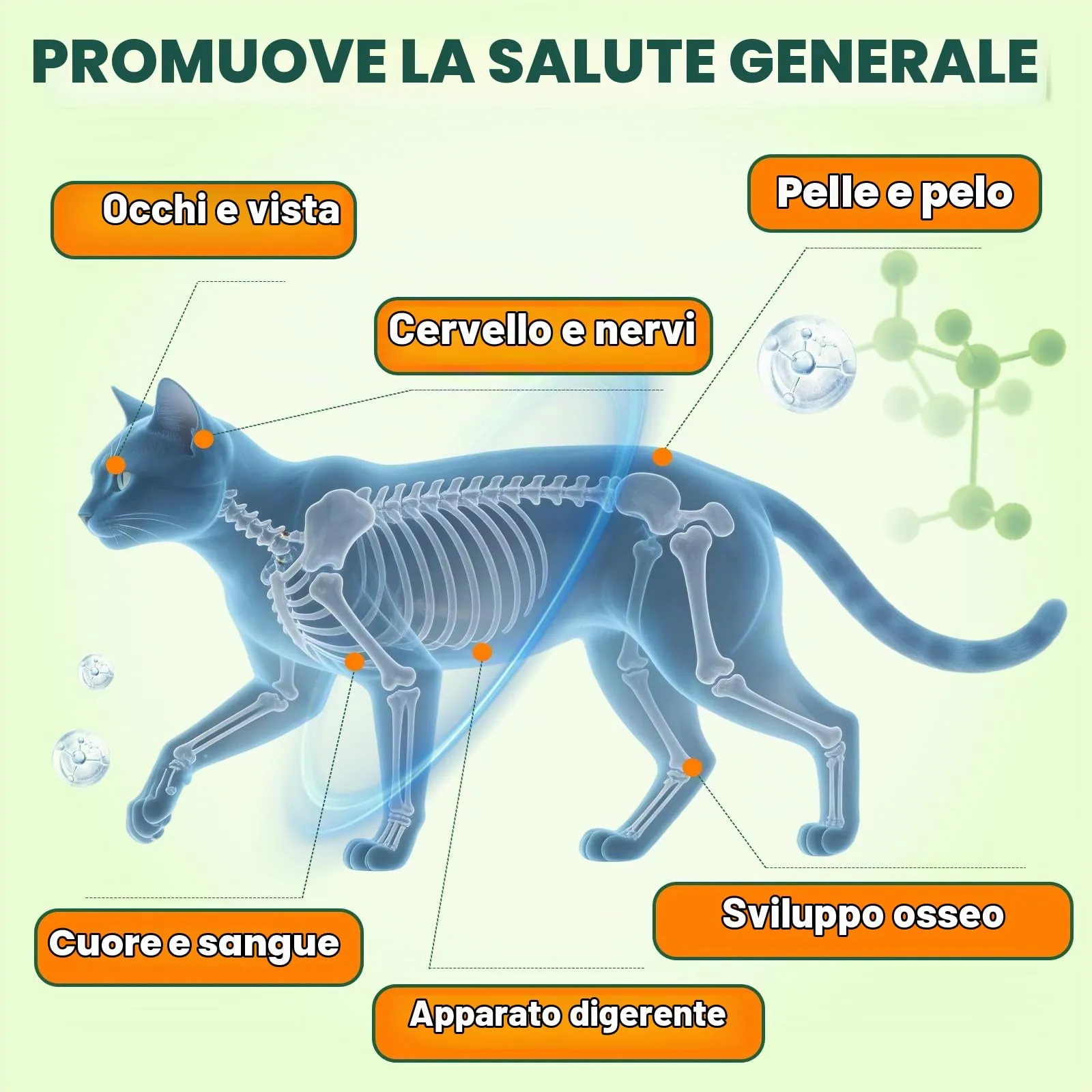 Eagou Diary Vitamine per Gatti con Taurina, 500 Snack Masticabili - immagine 2