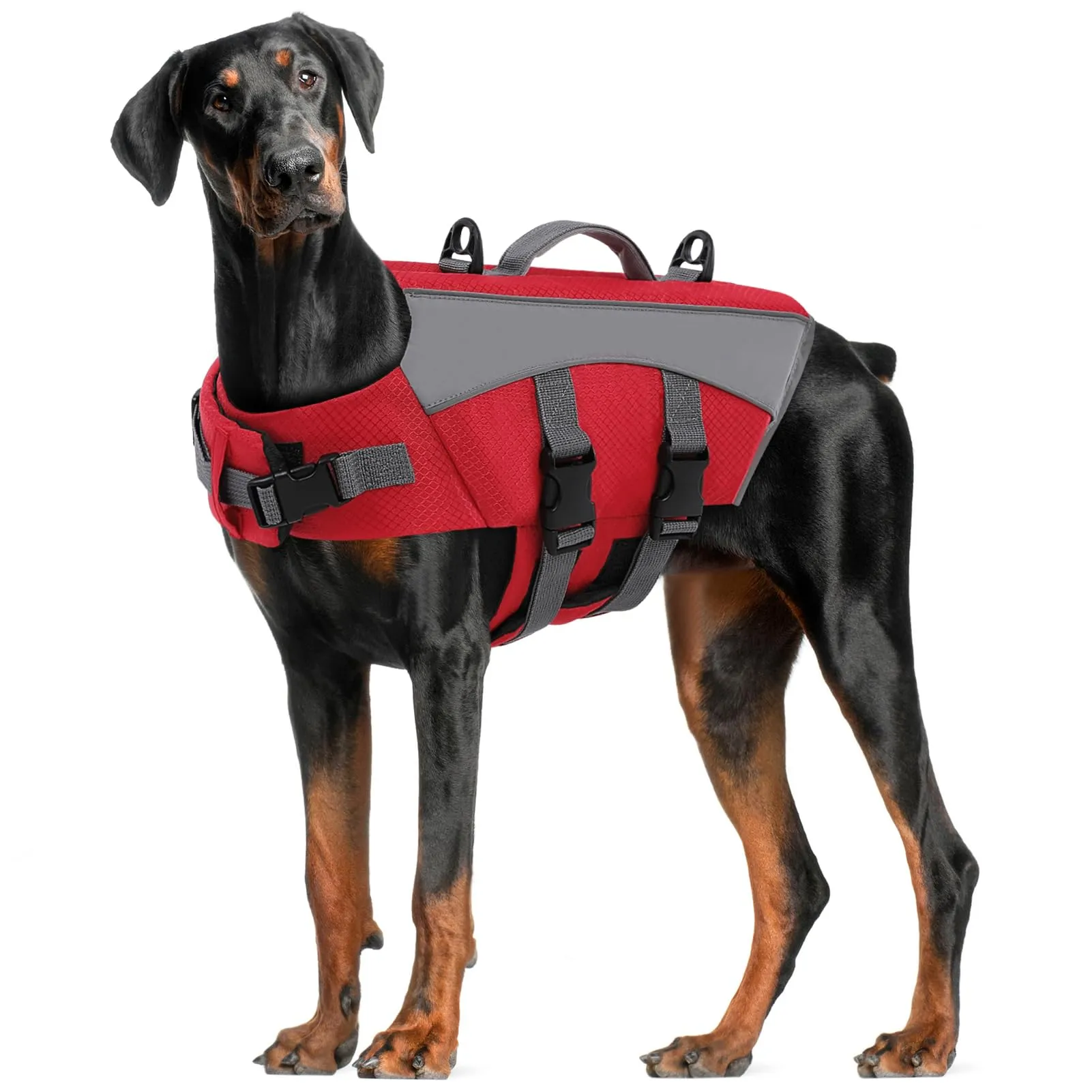 CITÉTOILE Giubbotto Salvagente per Cani, Rosso, XL - immagine 1