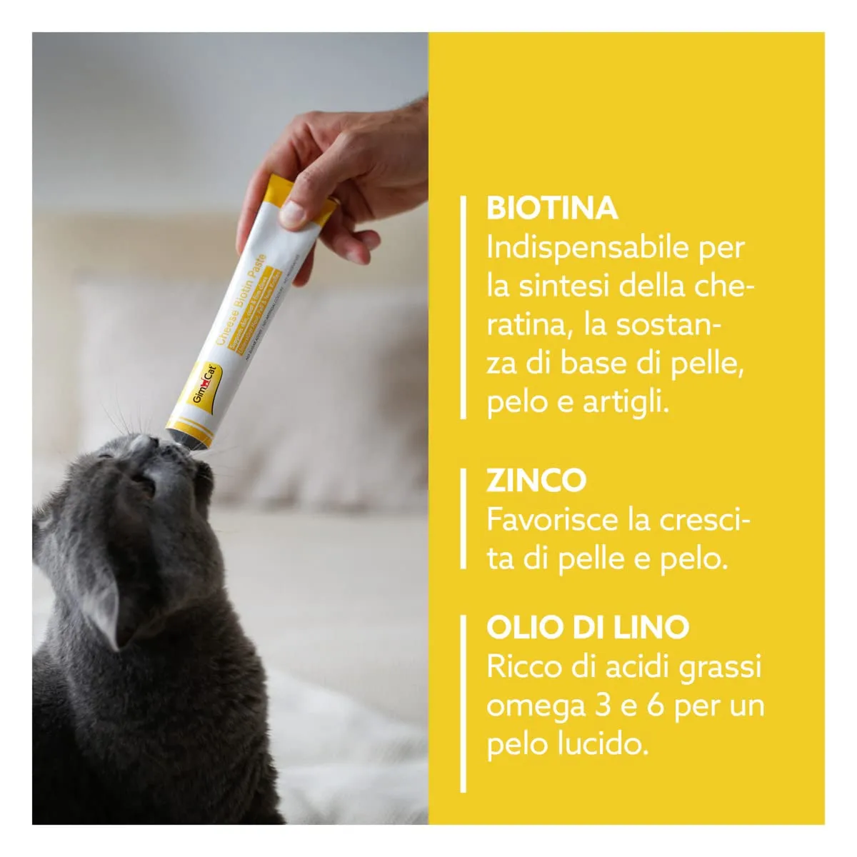 GimCat Cheese Biotin Pasta, 100 g - immagine 3