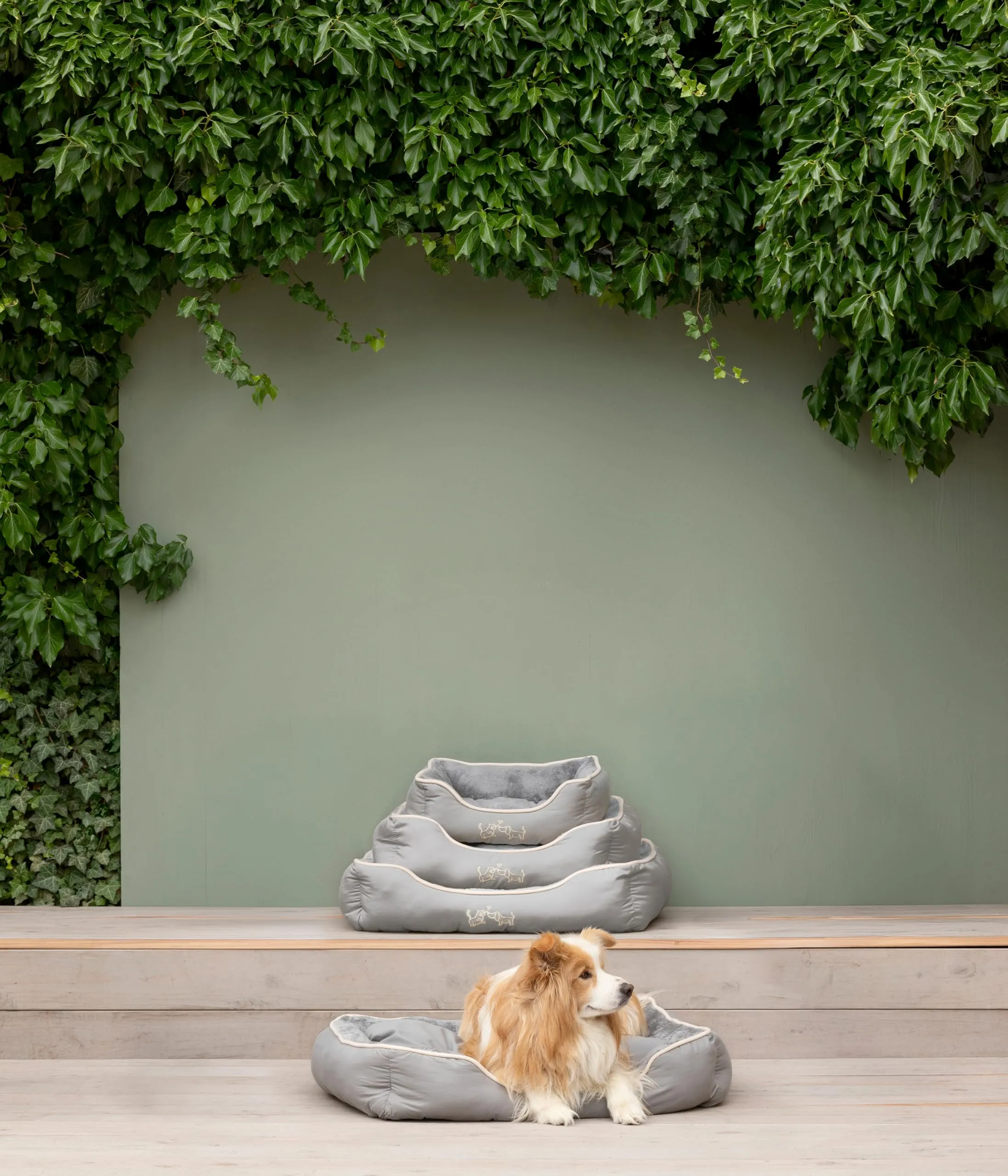 Dehner Lieblinge Sammy Cuccia per cani e gatti, 47 x 37 x 17 cm - immagine 4