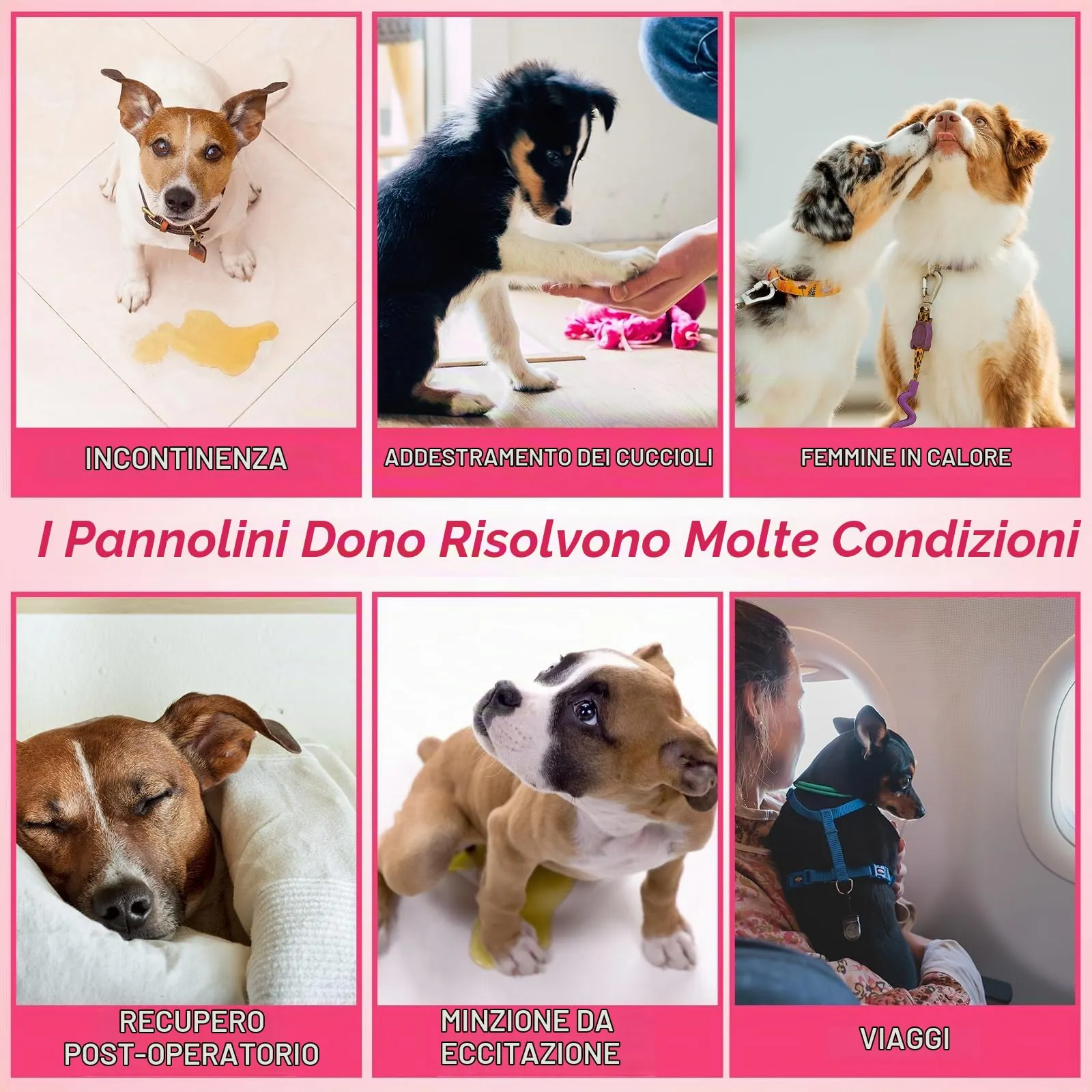 Dono Pannolini monouso per cani femmina, XXS, 20 pezzi - immagine 6