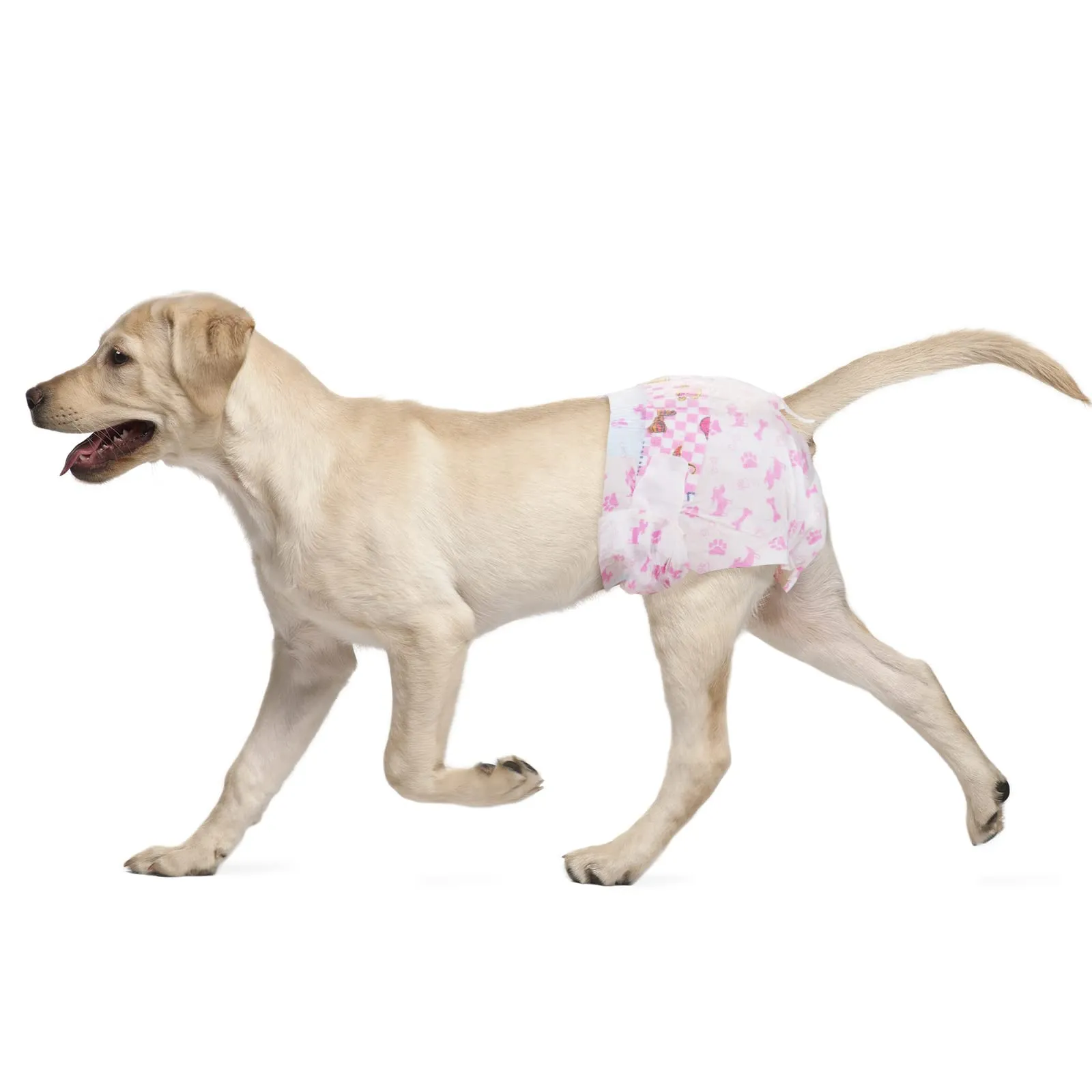 Dono Pannolini Monouso per Cani Femmina, Taglia L (14"-21"), 33 Pezzi - immagine 1