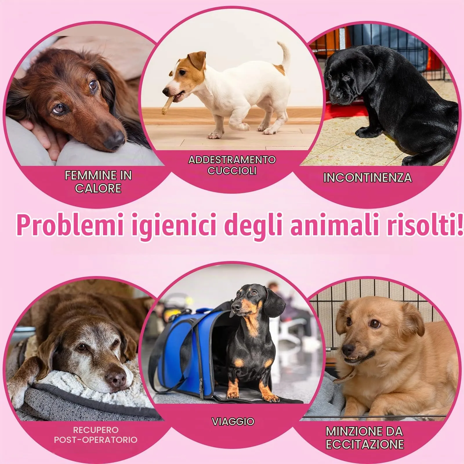 Dono Pannolini per Cani e Gatti, XXS, 45 Pezzi - immagine 8