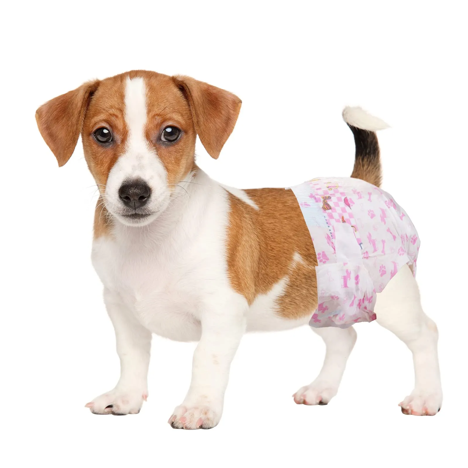 Dono Pannolini Monouso per Cani Femmina e Gatti, S 39 Pezzi, Super Assorbenti con Tecnologia Flash Dry Gel - immagine 1