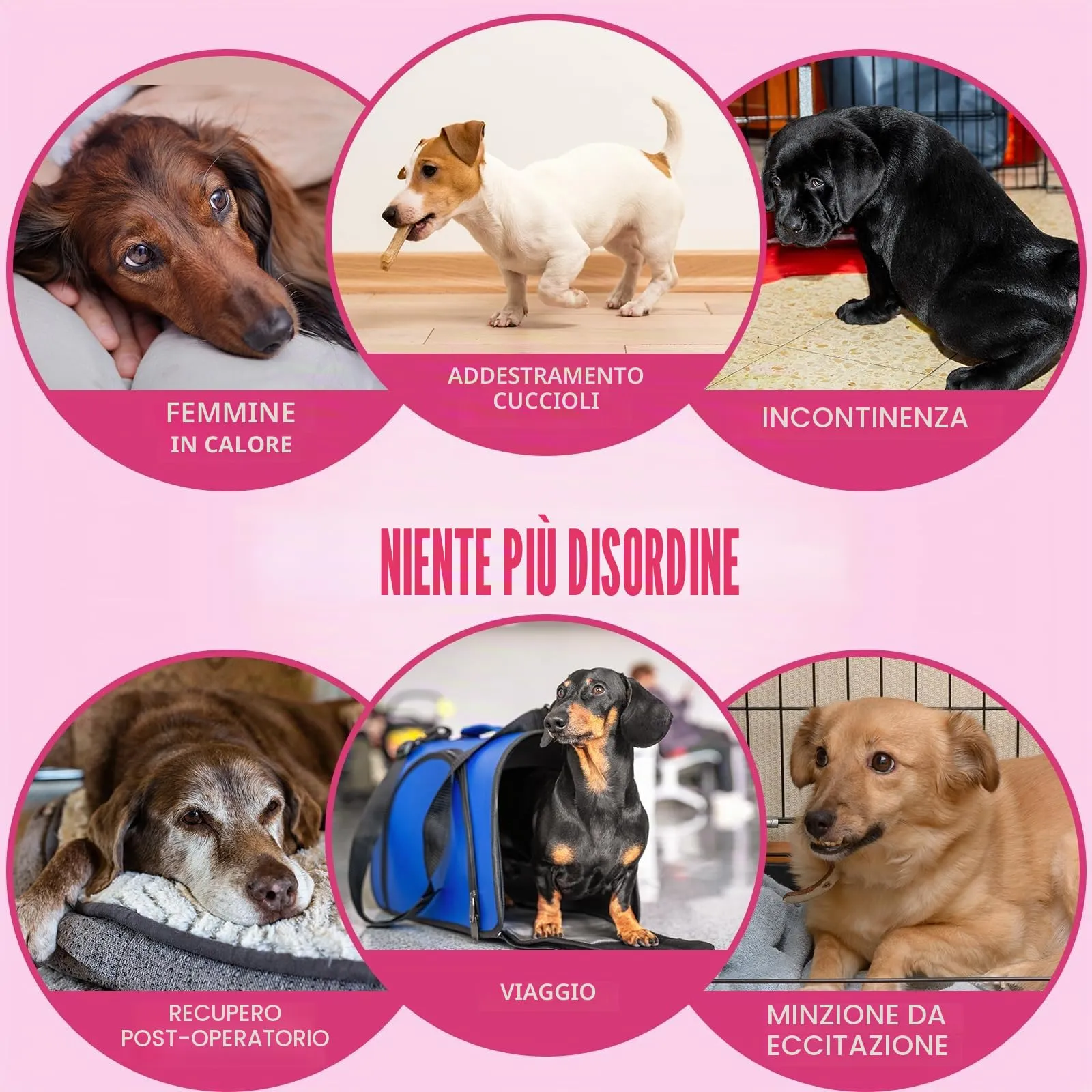Dono Pannolini Monouso per Cani Femmina e Gatti, S 39 Pezzi, Super Assorbenti con Tecnologia Flash Dry Gel - immagine 6