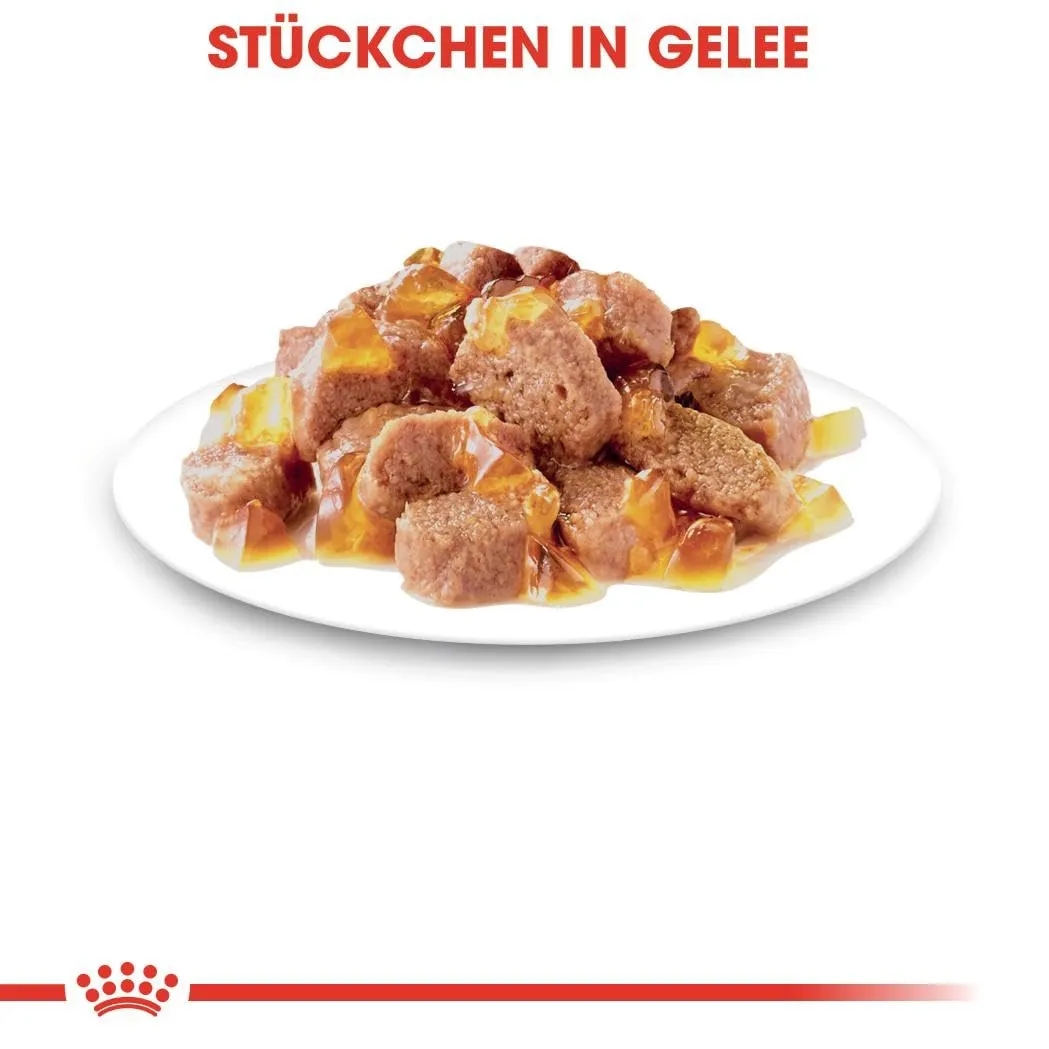 Royal Canin Feline Sterilised in Gelatina, 12 x 85 g - immagine 5