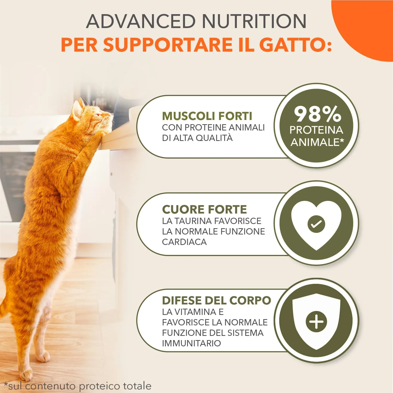 IAMS Delights Sea Collection Cibo umido per gatti senza cereali, 12 x 85 g - immagine 3