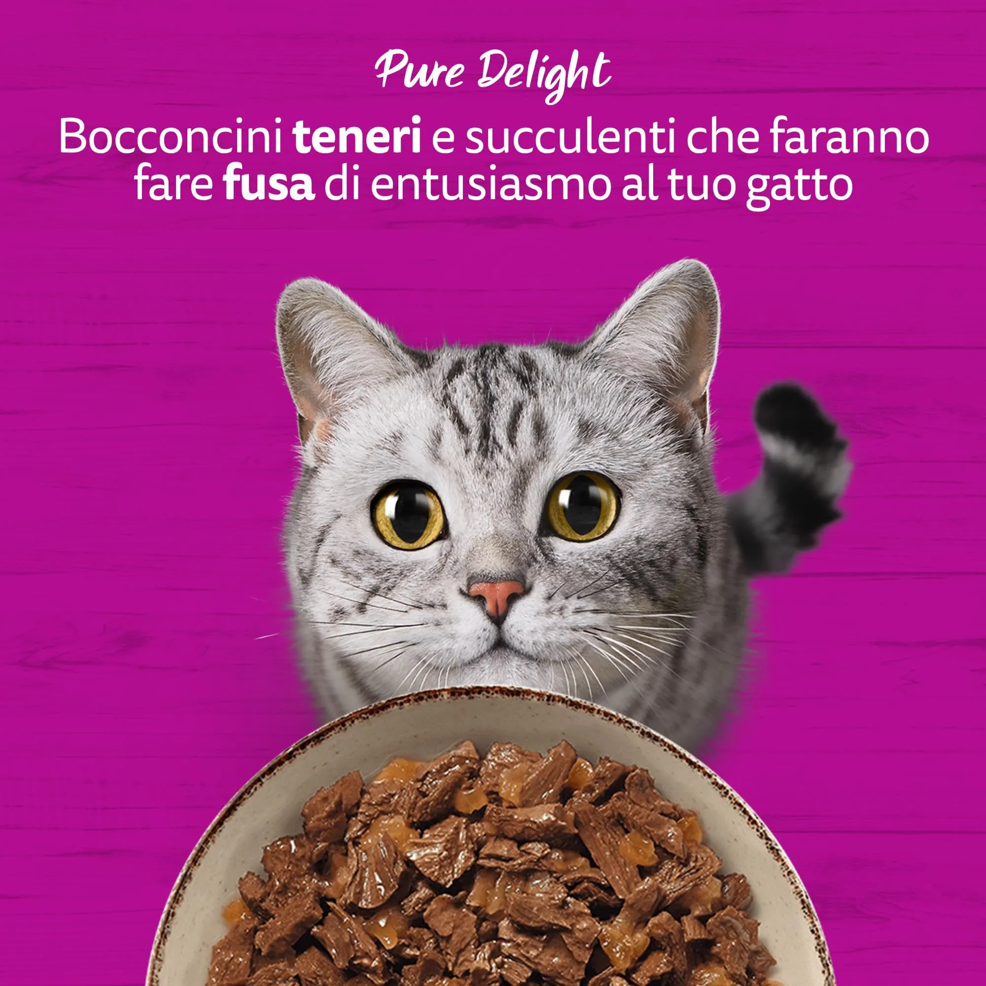 Whiskas Pure Delight Succulenti Straccetti per Gatti Adulti (1+ Anni), 52 Bustine da 85 g - immagine 7