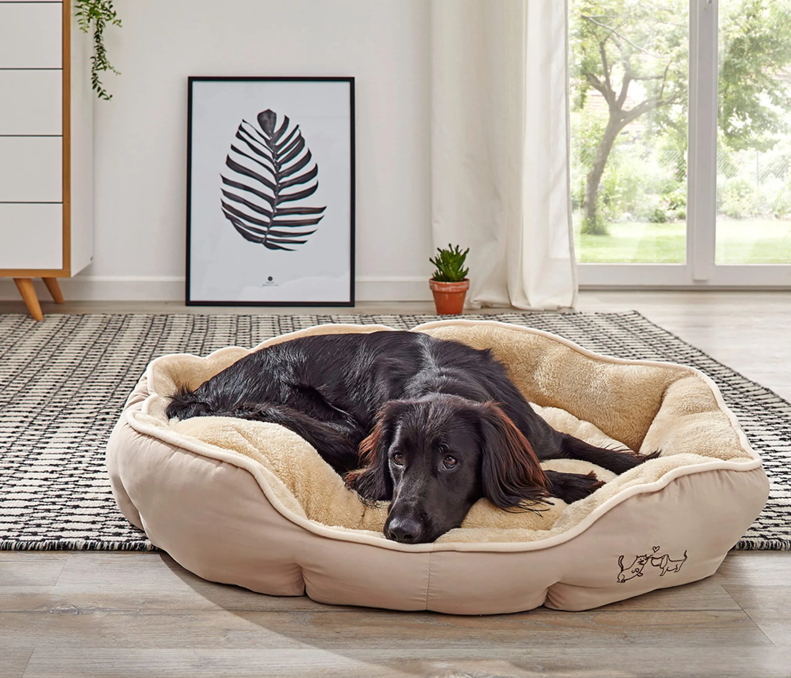 Dehner Sammy Cuccia per Cani e Gatti, Ovale, 70 x 65 x 14 cm, Poliestere, Beige - immagine 6
