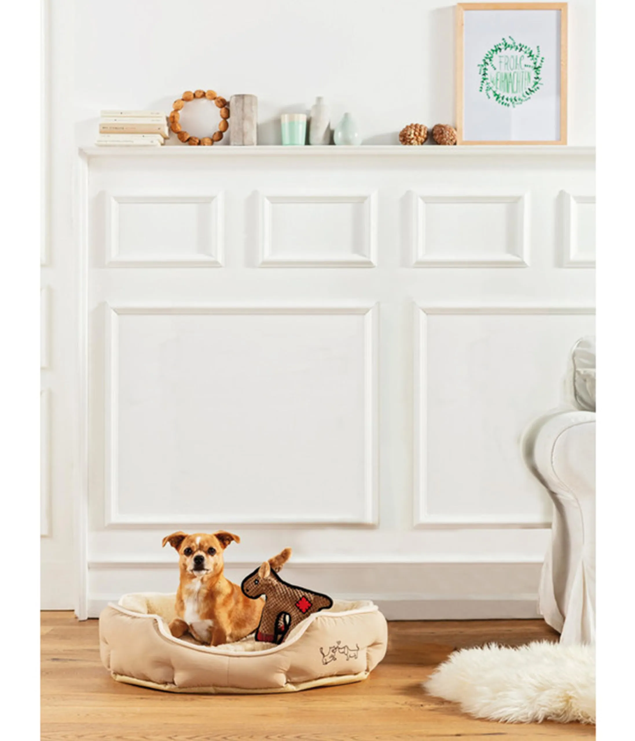 Dehner Sammy Dog and Cat Bed, Oval, 57 x 52 x 14 cm, Polyester, Beige - immagine 4