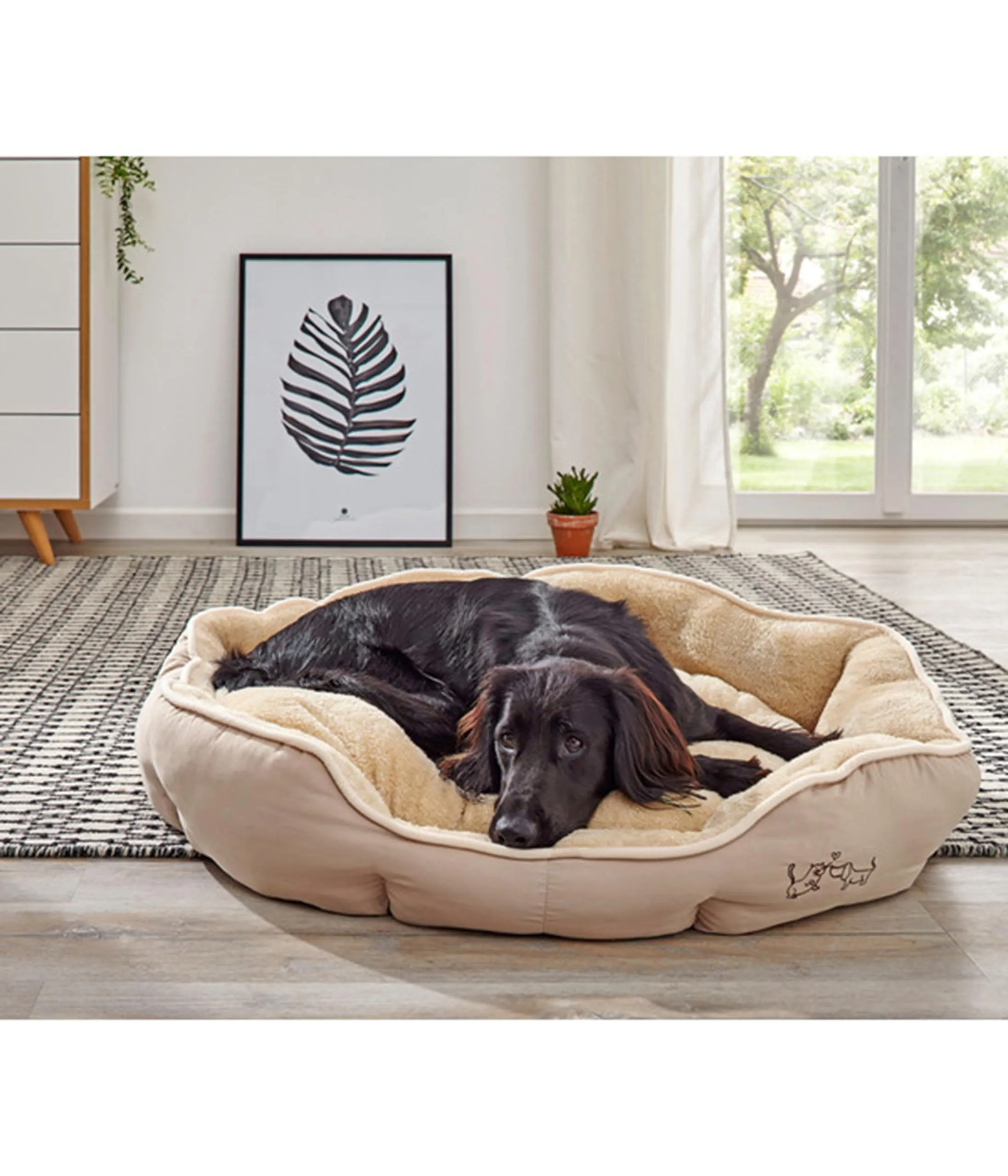 Dehner Sammy Dog and Cat Bed, Oval, 57 x 52 x 14 cm, Polyester, Beige - immagine 5