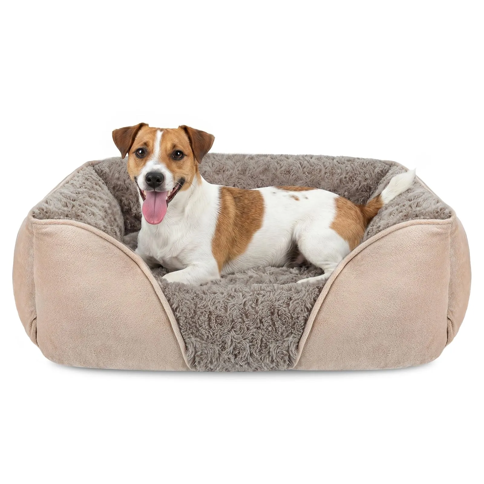 JOEJOY Cuccia Cane Interno Lavabile, 63x53x20cm - immagine 1