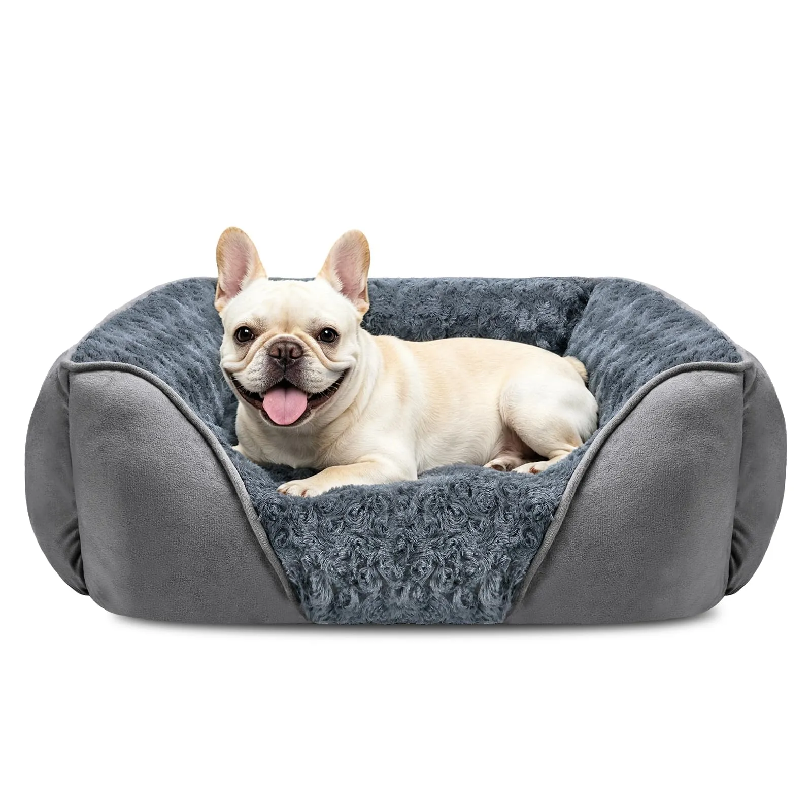 JOEJOY Cuccia Cane Interno Lavabile, 51x48x15cm - immagine 1