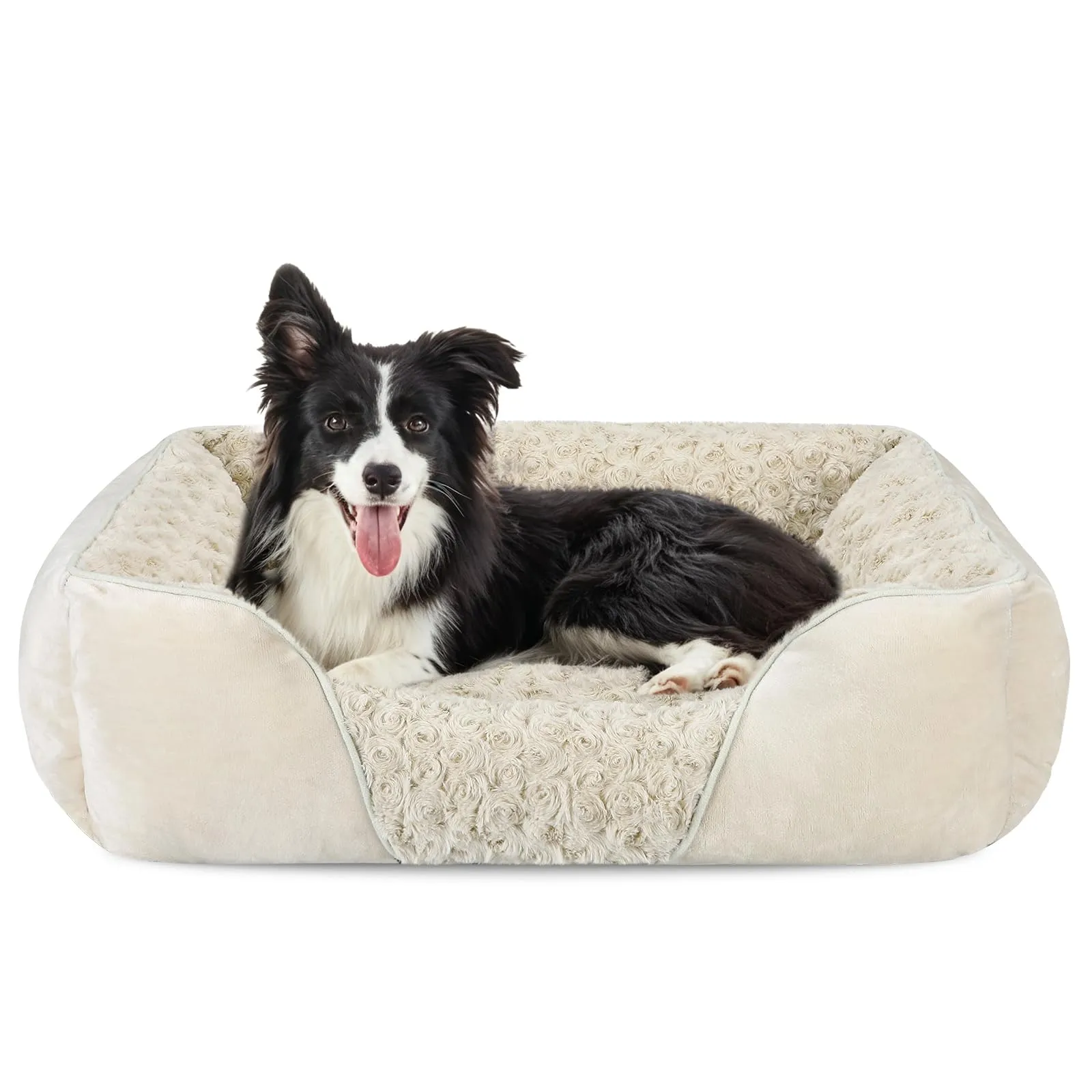 JOEJOY Cuccia Cane Interno Lavabile, 76x61x23cm - immagine 1